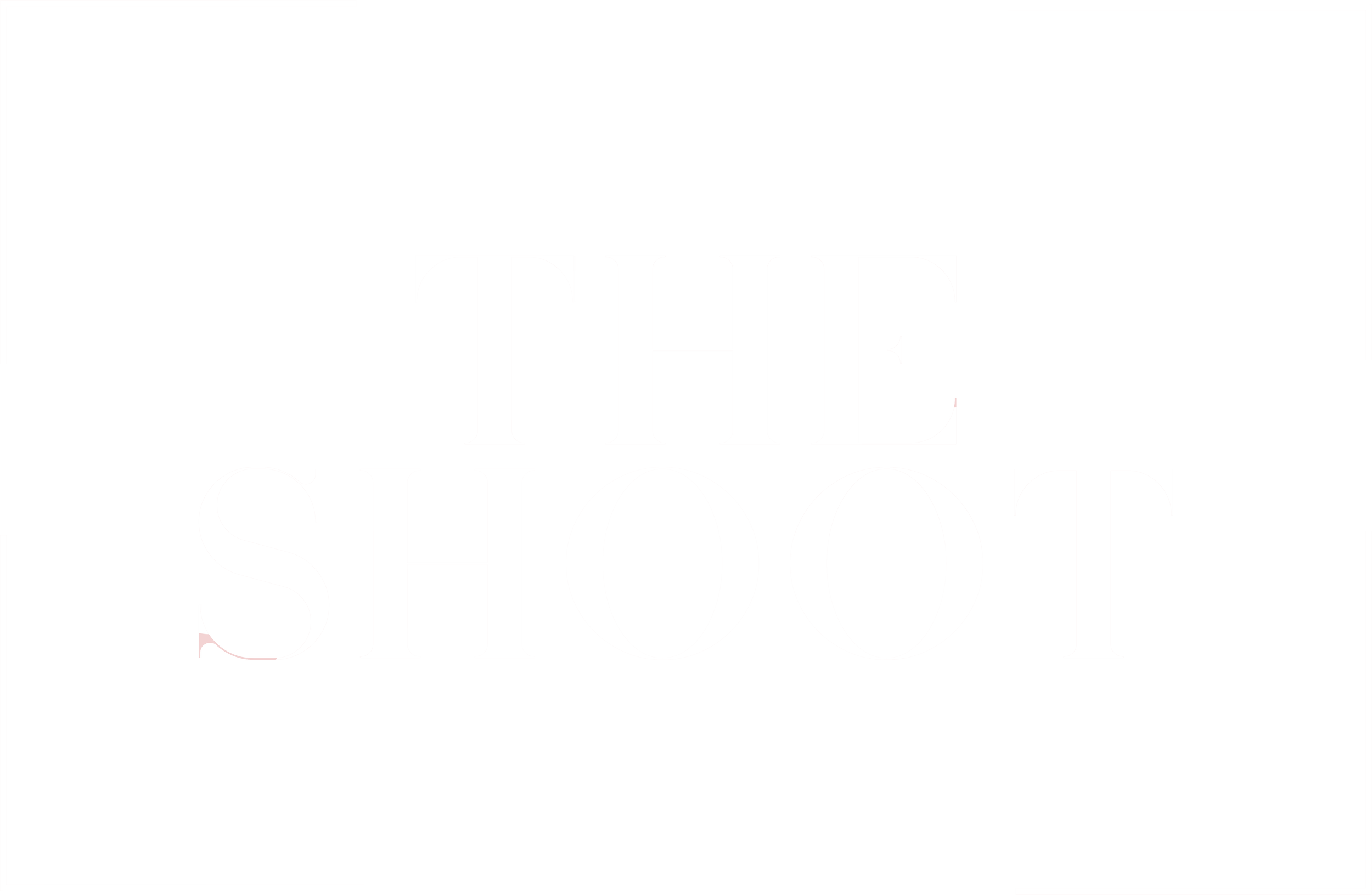 Photo Booth Rental Seattle WA The Shoot