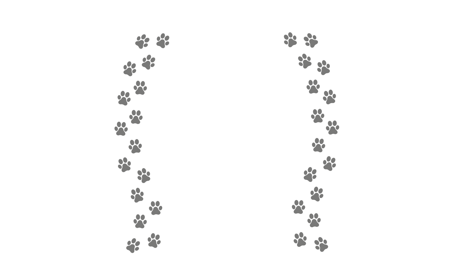 about-us-the-barkmore