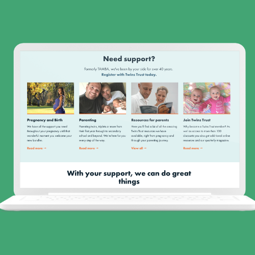 Twins Trust - Content auditing and content writing
