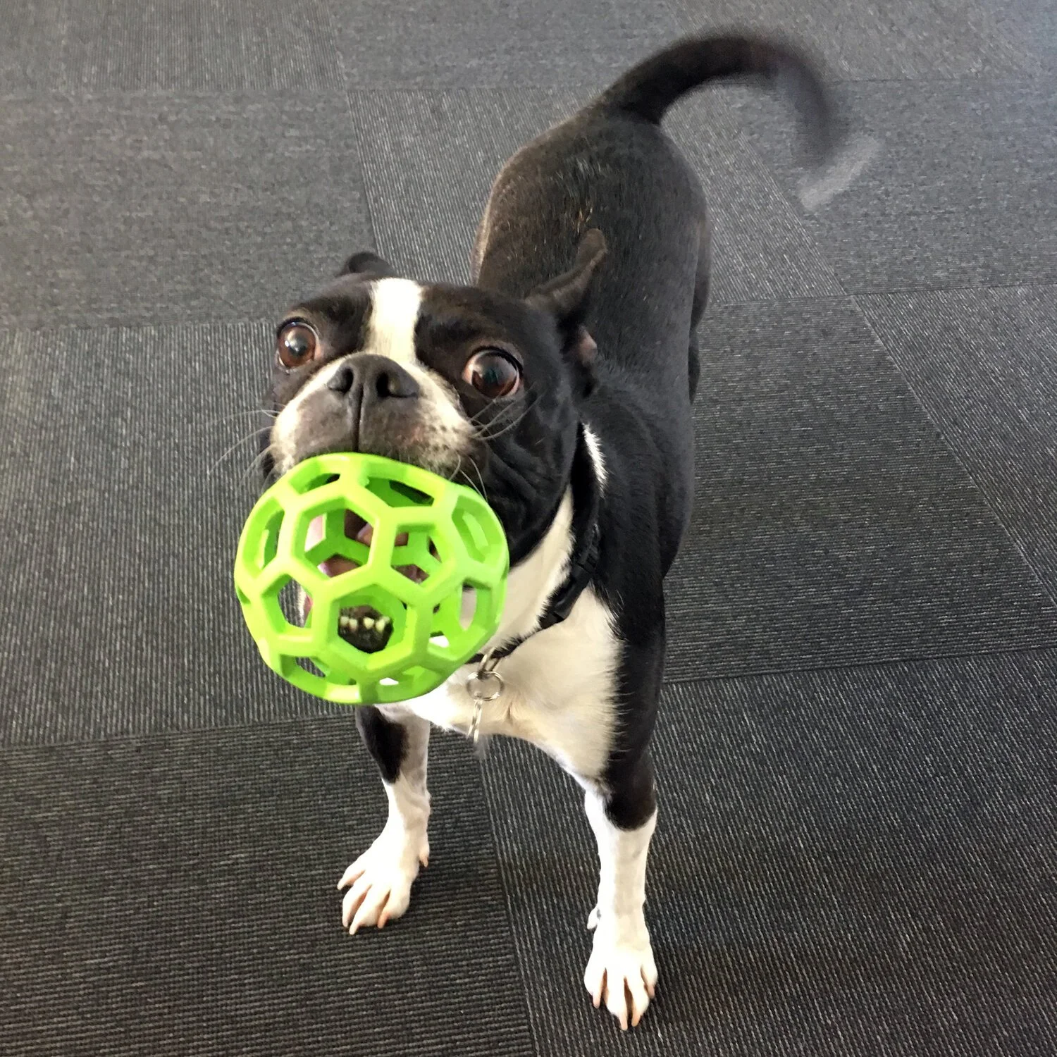 Tranche de vie [ep.03]