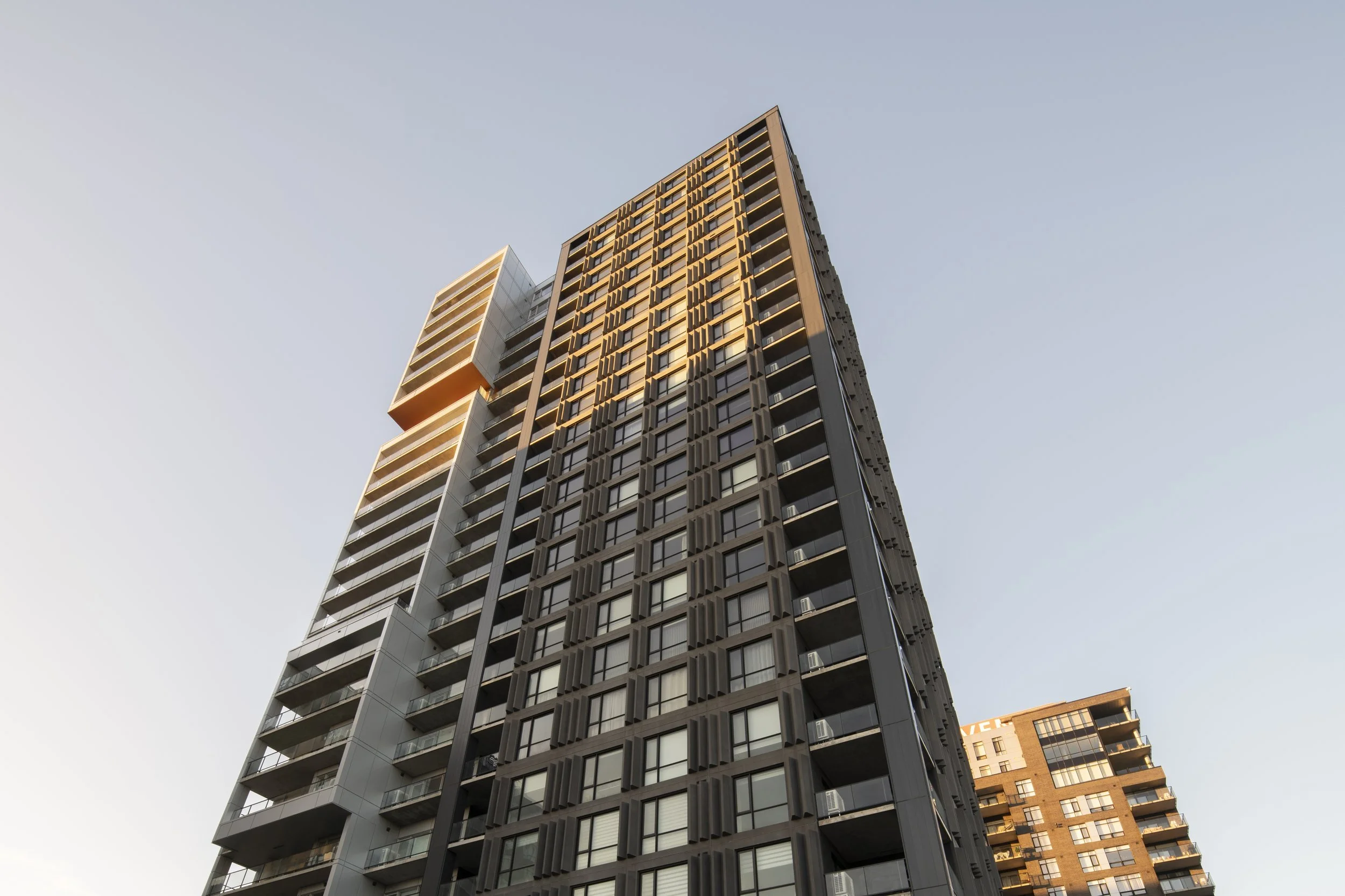 © David Boyer Photographe Inc. 0003.jpeg