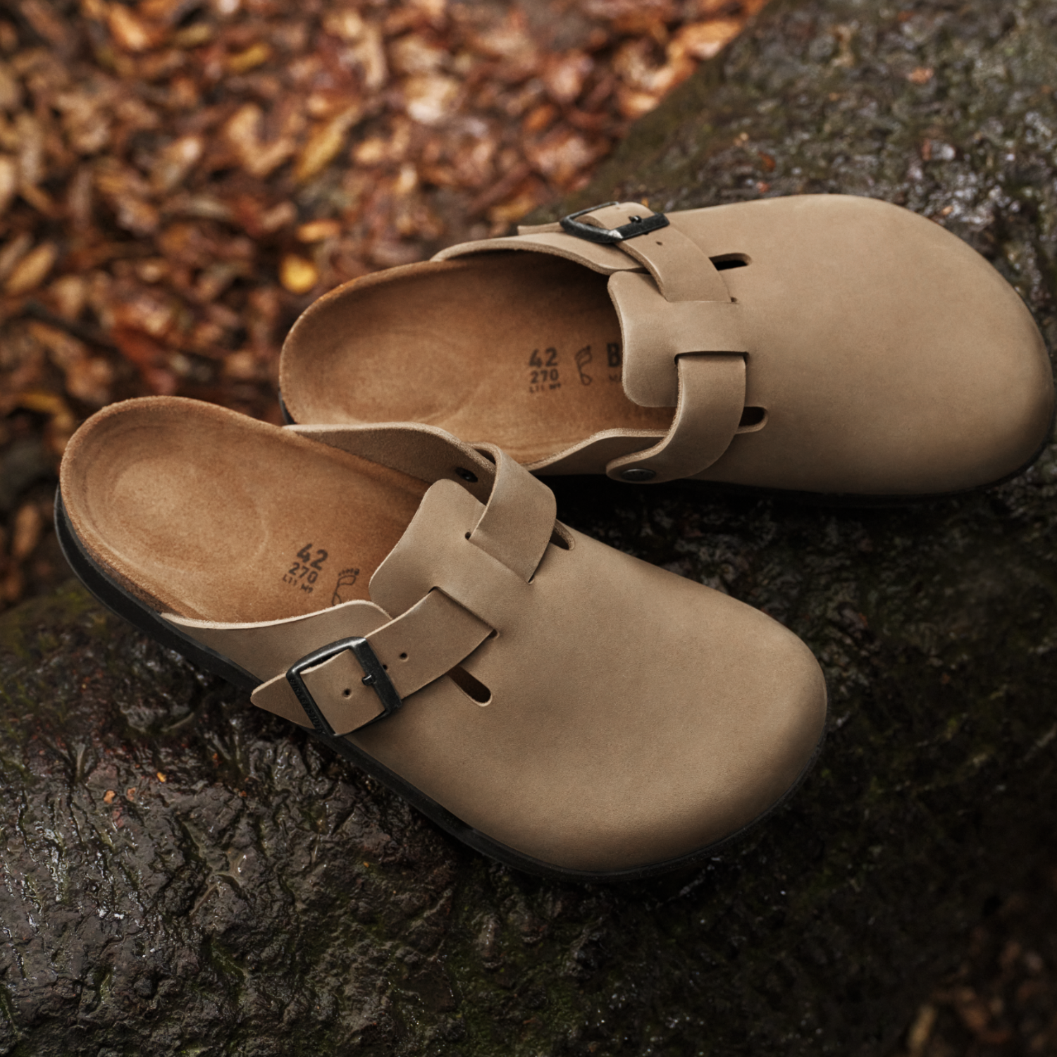 Birkenstock Boston clogs