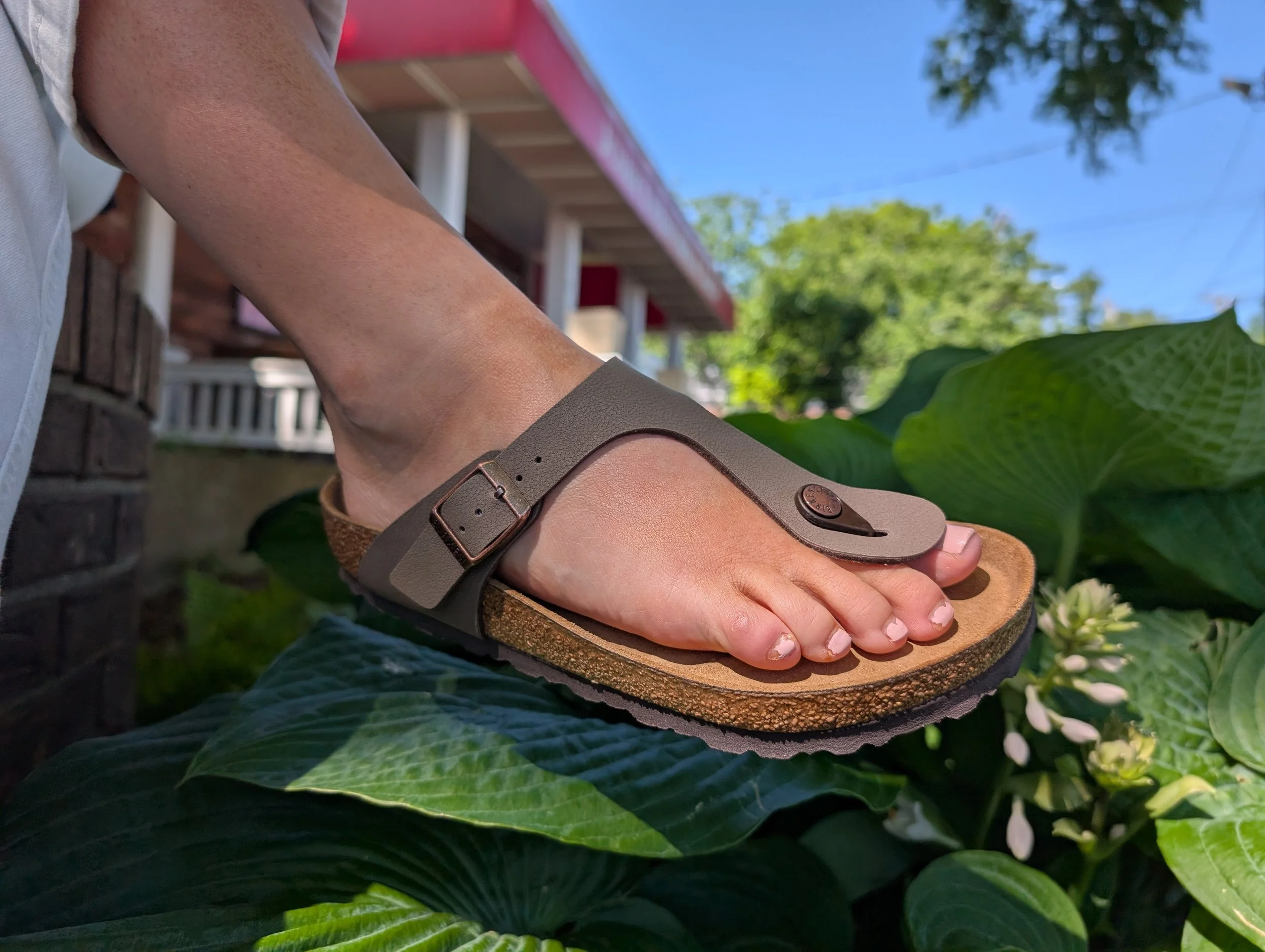 closeup of Birkenstock sandal by a plant