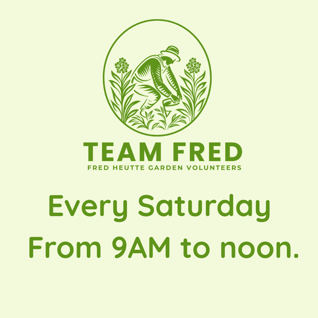 Team Fred