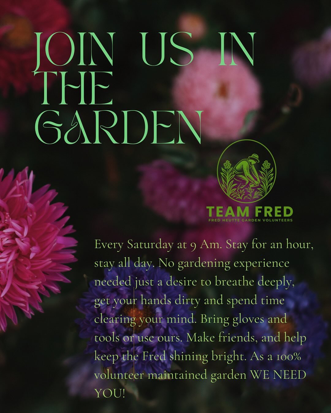 Join us at 9AM to volunteer @fredheuttegarden . Come for an hour or all day and help us put some sparkle on our beloved urban public garden #volunteer #getyourhandsdirty #norfolkevents #ghentnorfolk #ghentsquare