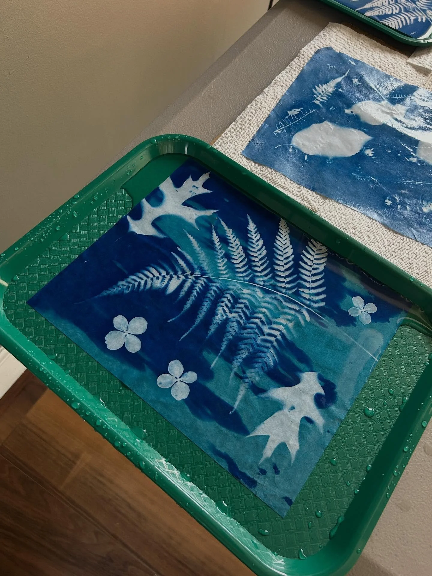 Incredible creations made from garden materials in Fred&rsquo;s Cyanotype Workshop. Thanks to the artists who came out to learn this new process. The pieces were beautiful! Look out for our next Garden Art workshop where we&rsquo;ll be making shibori