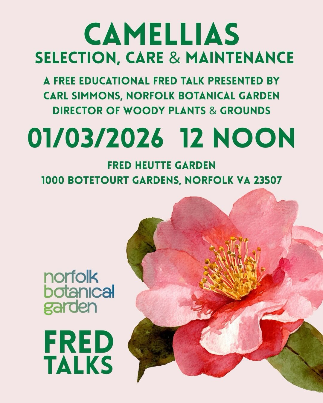 Join us Saturday for a FREE educational presentation @fredheuttegarden 12 noon. Bring your questions about this gorgeous plant with year round beauty. Carl Simmons a Norfolk Botanical Garden expert is going to share his prodigious knowledge with us. 