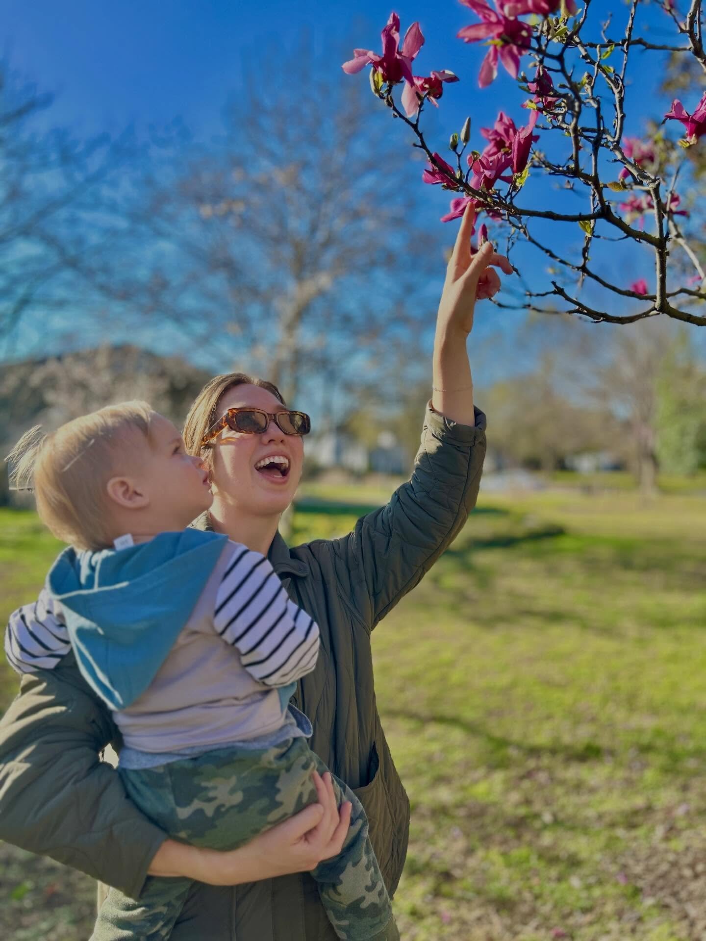 Beautiful morning @fredheuttegarden #norfolkva #ghentnorfolk #fredheutte #publicgarden #gardening