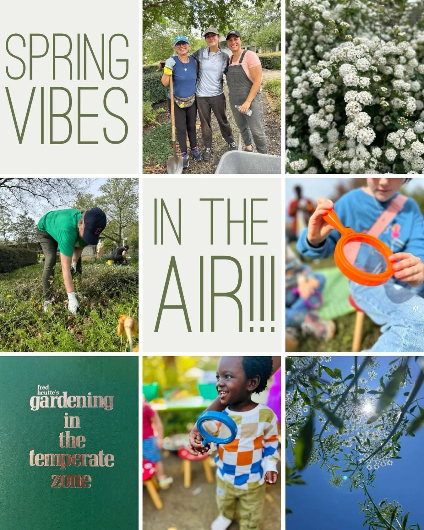 Welcome Spring!!!! Beautiful greens and the first spring flowers. Achy bones warming up for garden work. A lift in mood and attitude. Spring brings many gifts. Join us Saturday for #teamfred and help us wake up Fred and start the growing season! See 