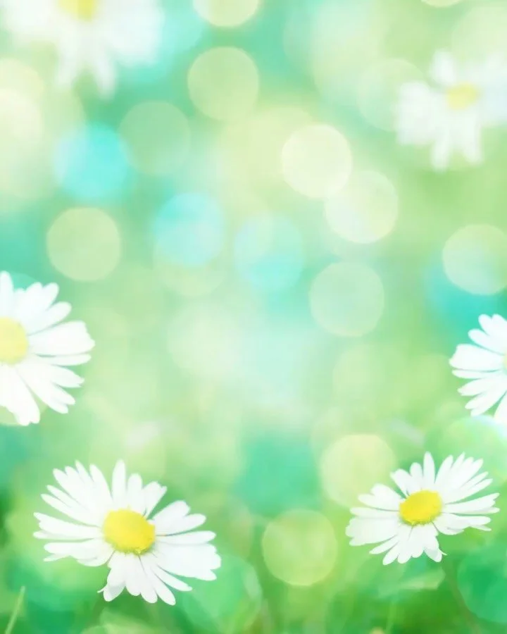 So much wonder planned for Fred Fair! Join us at this community celebration and learn about sustainability efforts all over Norfolk! Pick up some perennials, annuals and natives at great prices, buy a raffle ticket or ten to support the Fred and pote