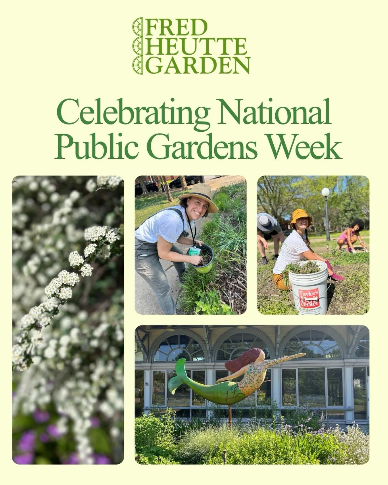 It&rsquo;s National Public Gardens week and we celebrate @fredheuttegarden. Our urban public garden in Norfolk is free, on the cusp of big changes and working hard to make The Fred a third space for Norfolk. Join us for a Free Fred Talk, come work in