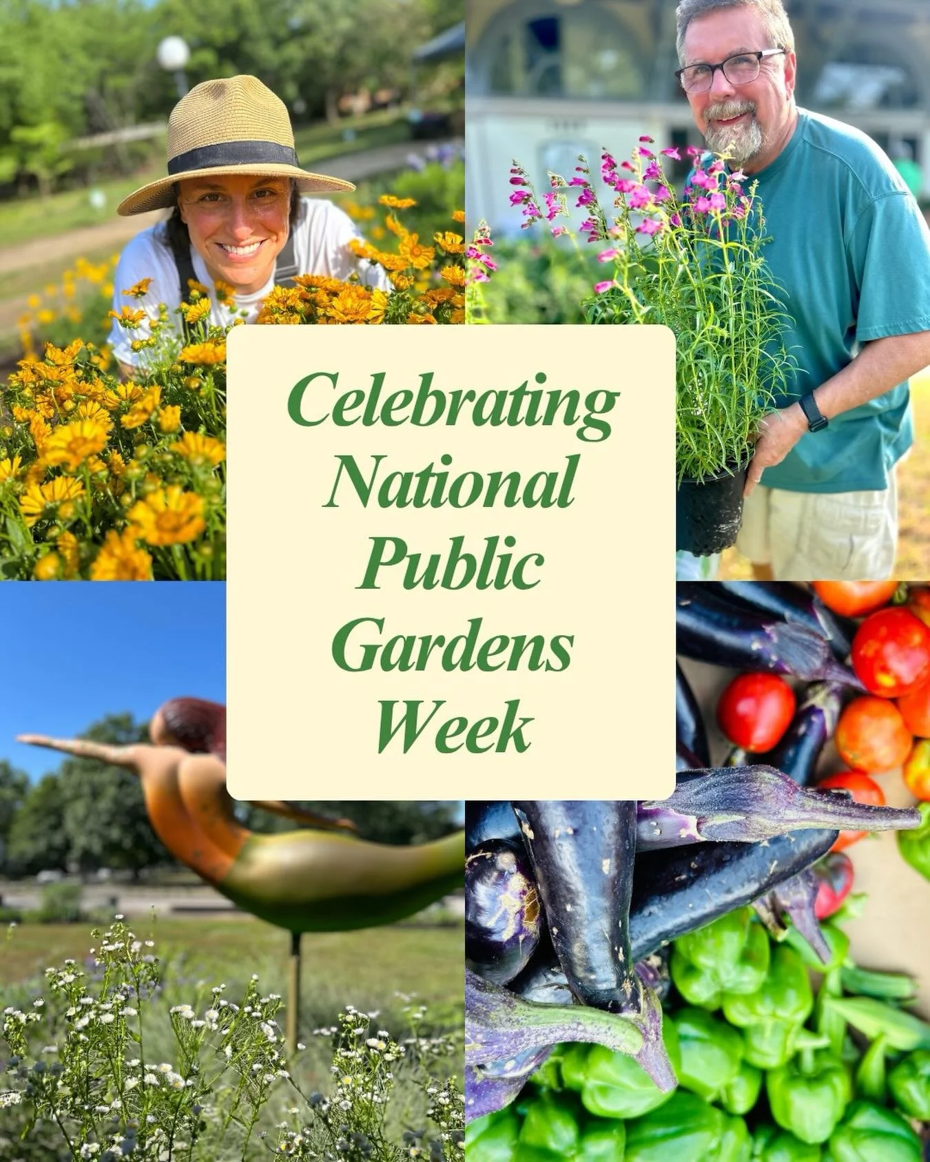 Today was a glorious day to be in the garden. Thanks to all our volunteers, supporters, partners and visitors. It can&rsquo;t be done without you💚💚💚💚#fredheuttegarden #publicgarden #norfolkva #getyourhandsdirty #fredsgreengym
