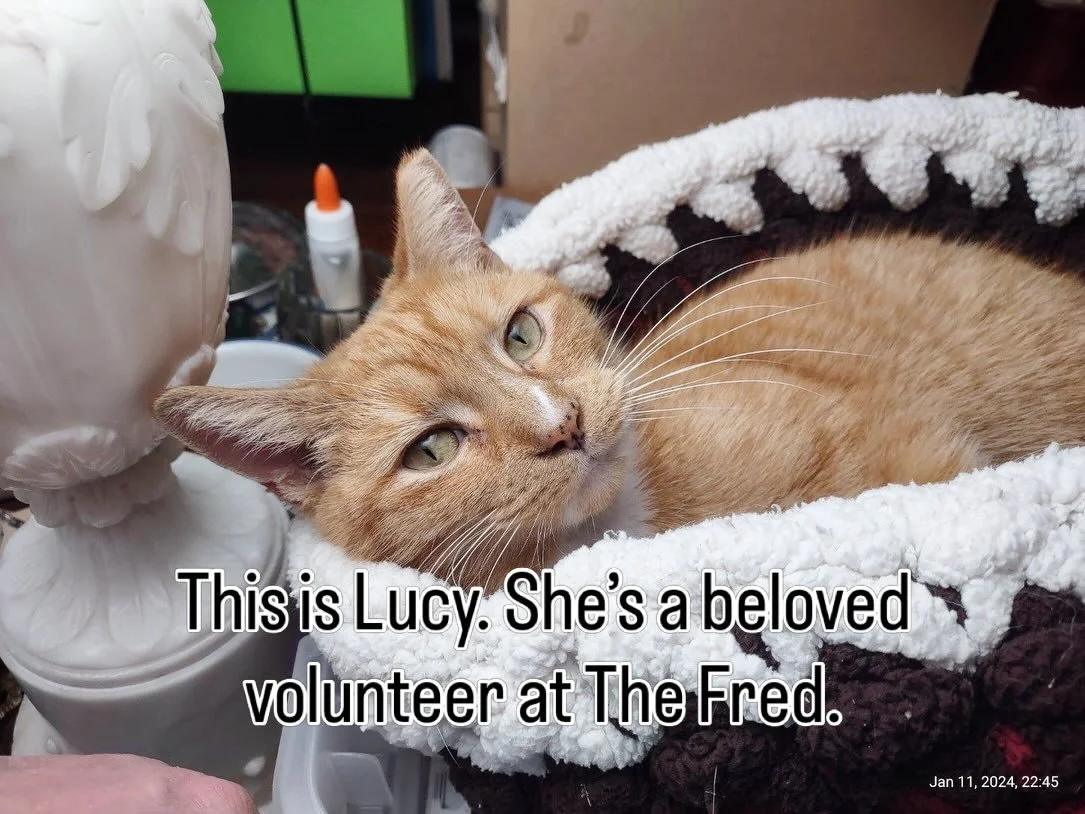Call 757-277-6420 if you see her or email the fred  garden@fredheutte.com. Thank you!!!