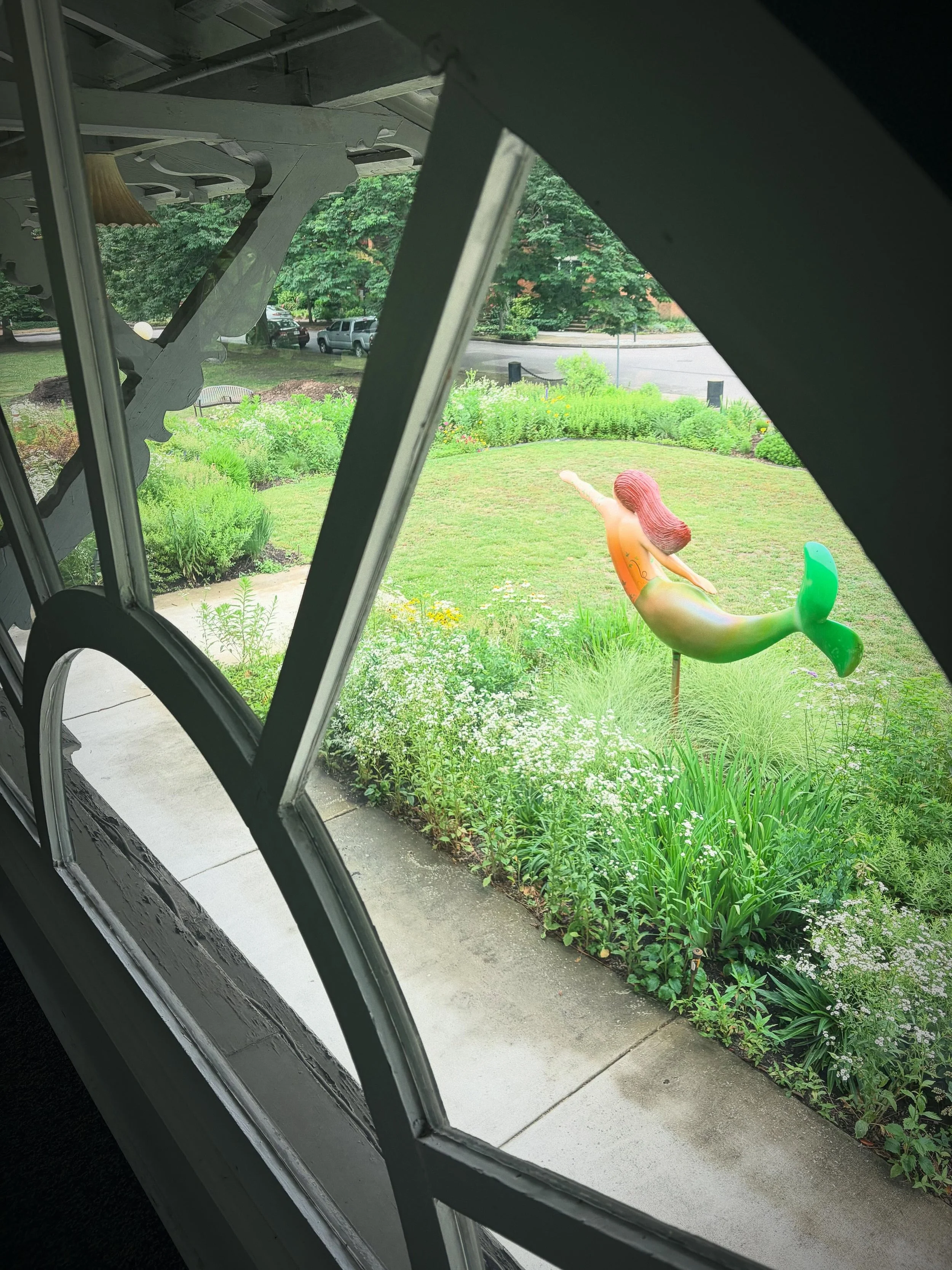 Room with a view @fredheuttegarden