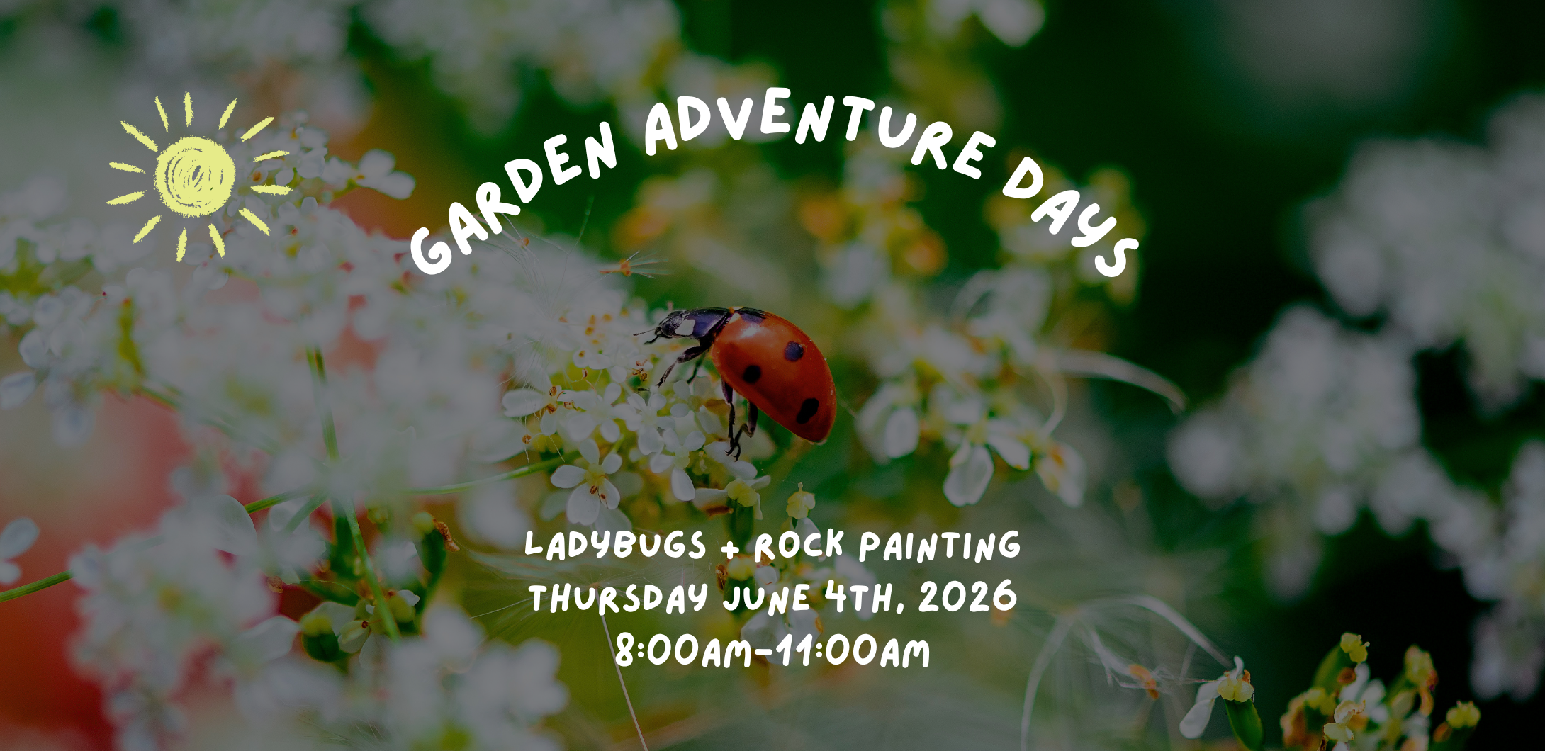 Garden Adventure Days - June 4th (Ladybugs + Rock Painting) 