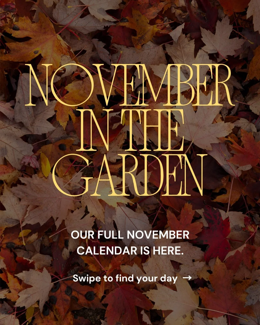 November in the garden 🍂🧡

So many sweet ways to make memories together this month!

Swipe through, save this for later, and find your family&rsquo;s next garden day. 🌱

Want the details? We&rsquo;ll send them straight to your DMs!

🍁 Comment PLA