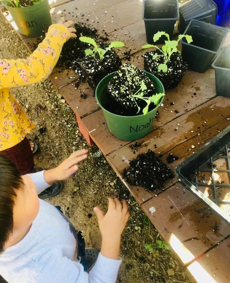 Children planting seedlings in small pots with soil on a wooden table.