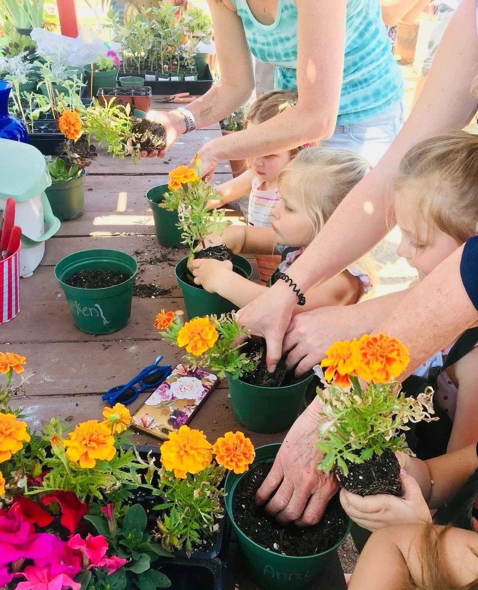 Adult and children planting marigold flowers in green pots at a gardening activity.