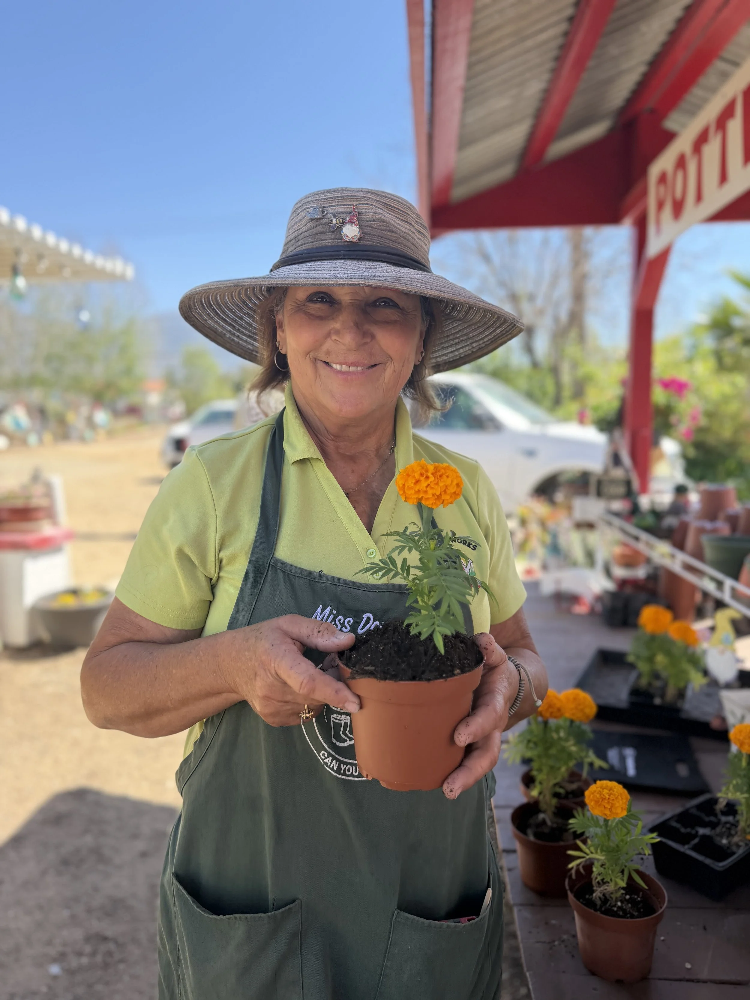 A smiling woman wearing a large sun hat with a decorative pin, yellow shirt, and apron holding a potted marigold plant at an outdoor plant sale.