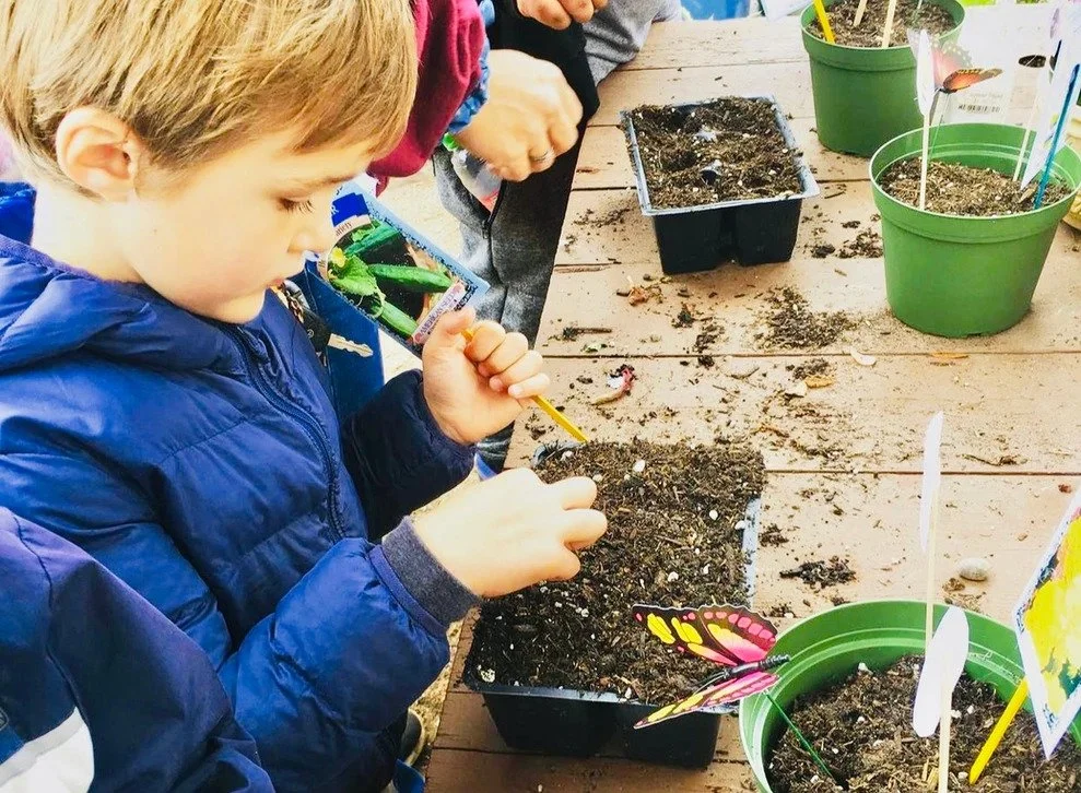 A young boy in a blue jacket planting seeds in a black pot filled with soil, with other children around planting as well, and gardening supplies on a wooden table.
