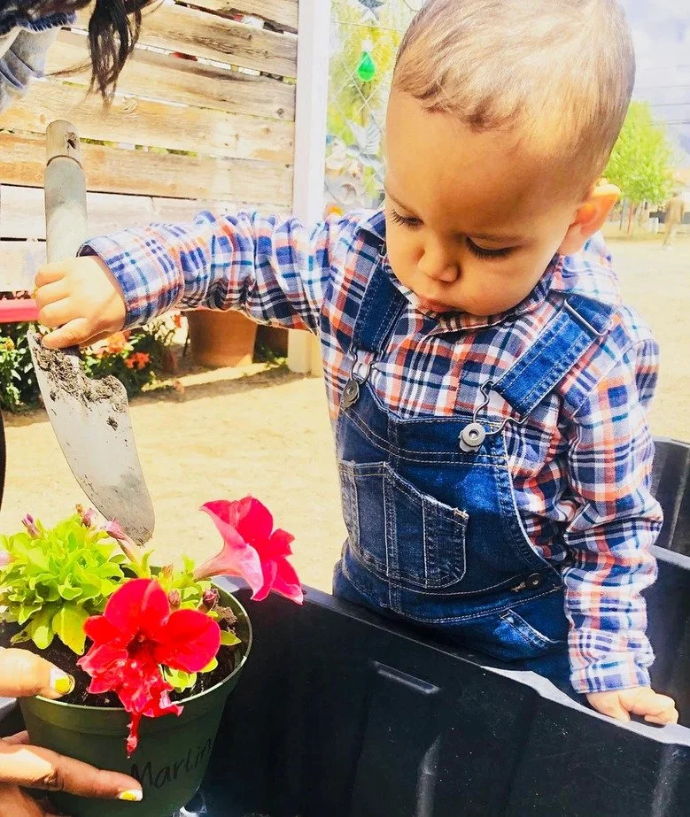 Young boy planting bright pink flower in a pot outdoors.
