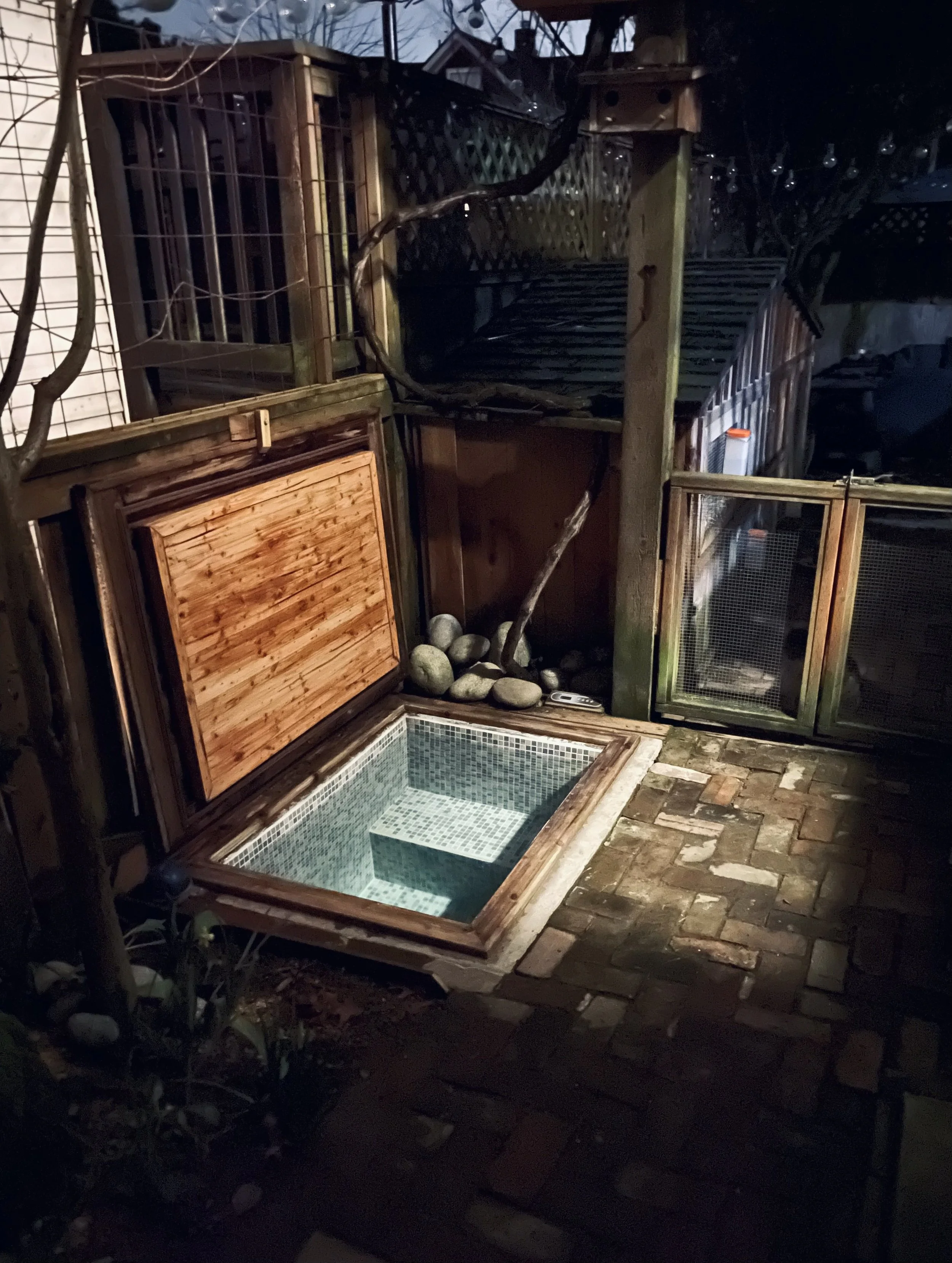 Plunger pool by night