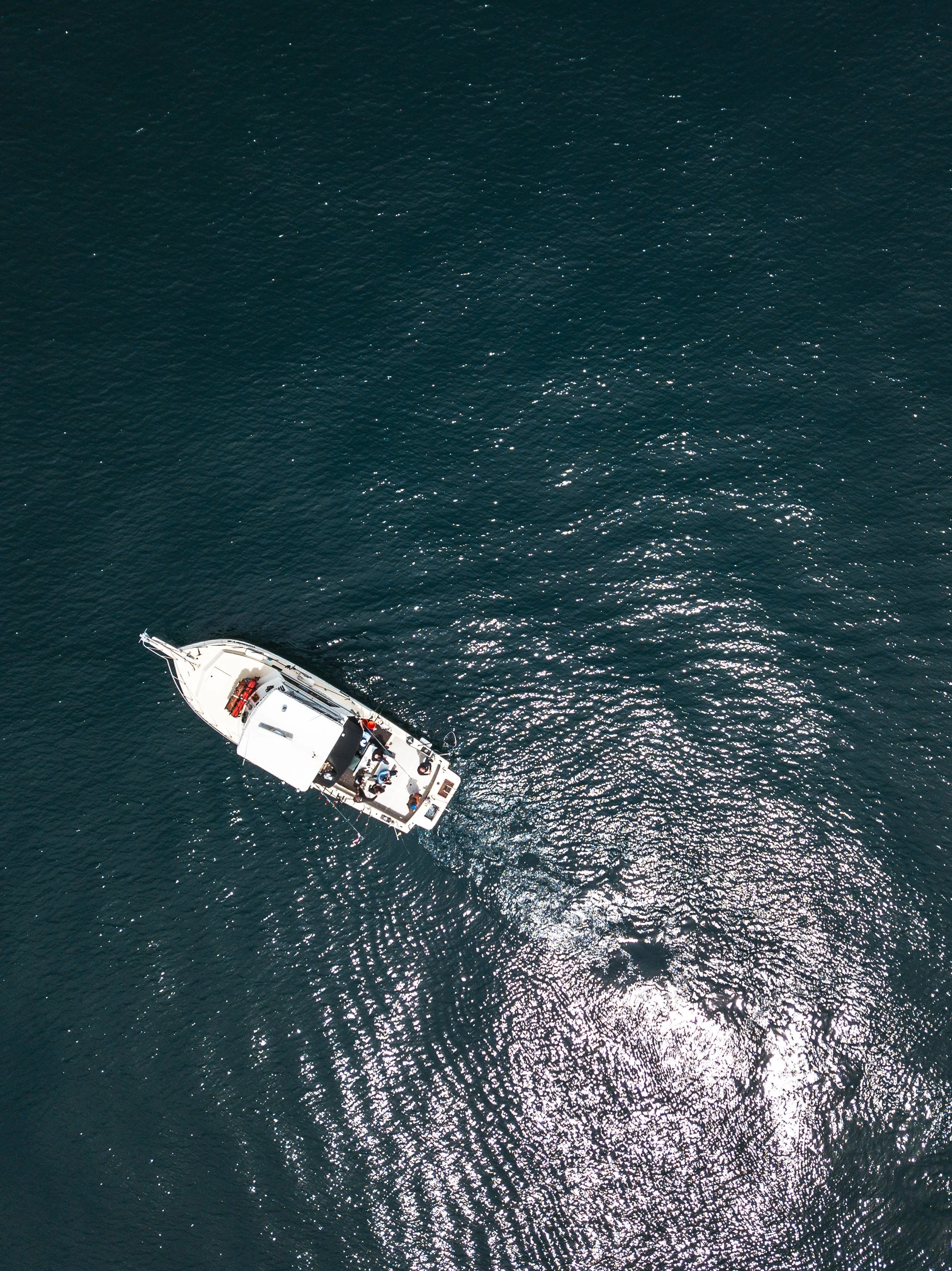 DJI_0033.jpg
