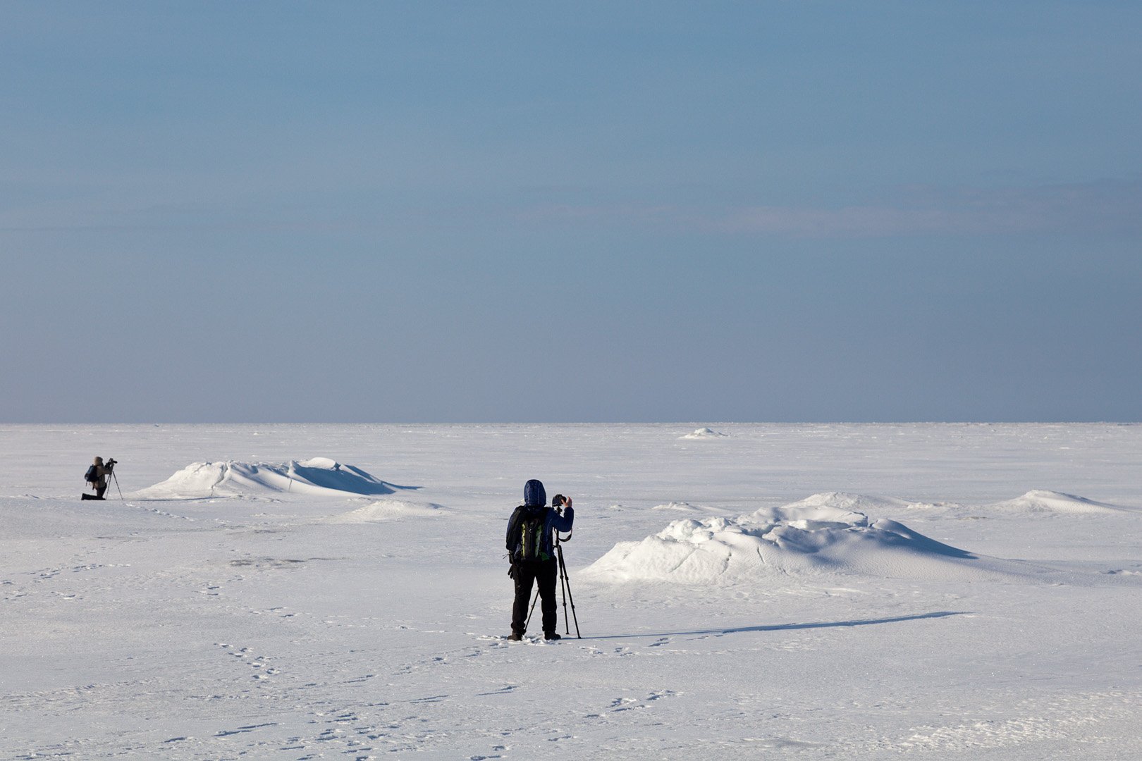 Naturfoto kurser våren 2024
