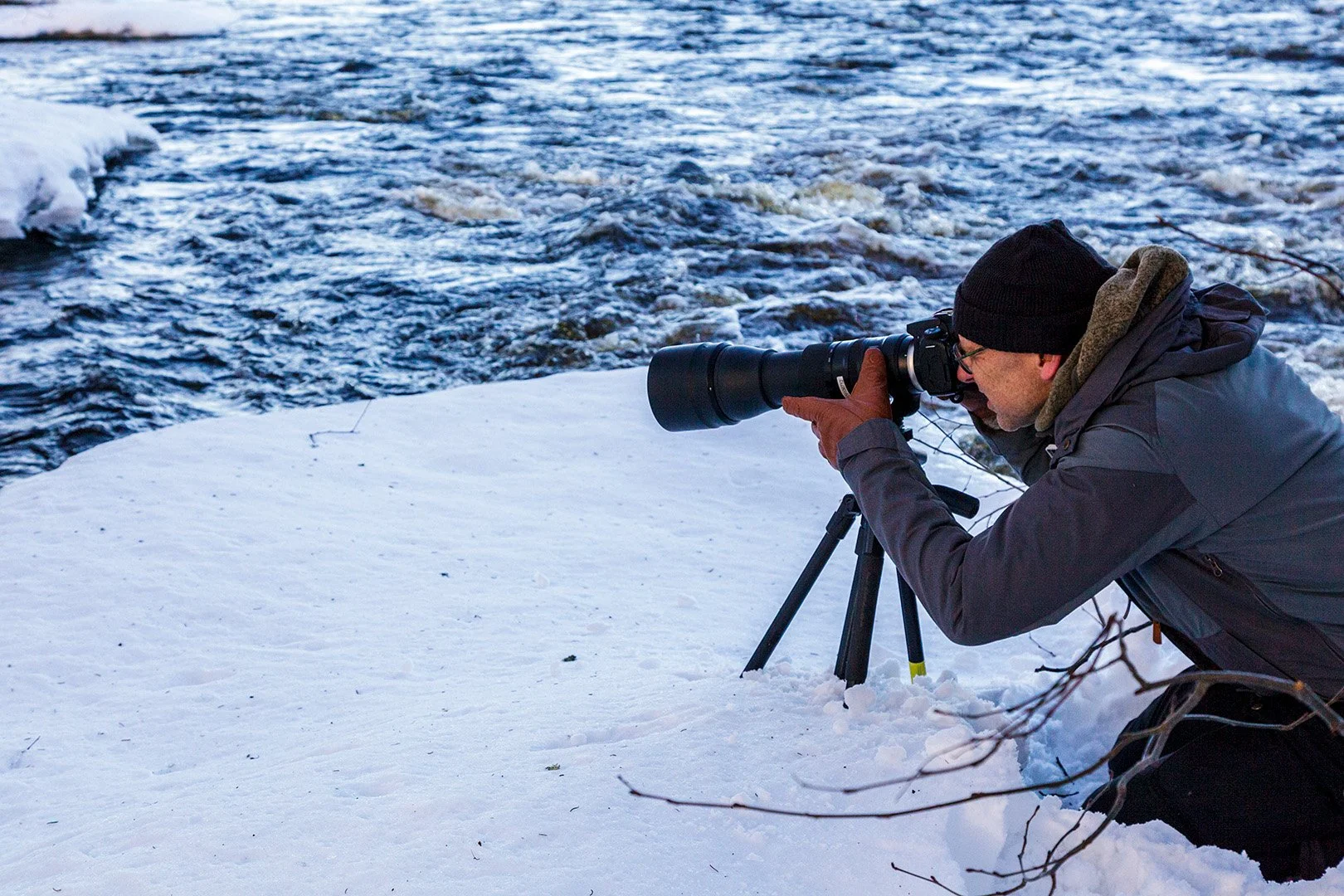Online naturfotokurs våren 2026