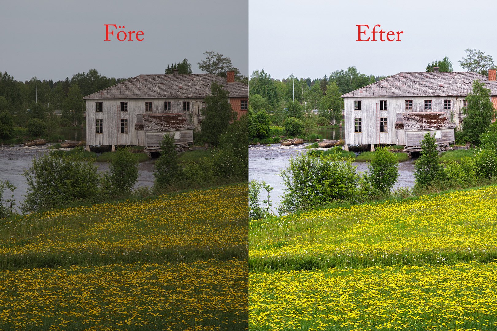 Online naturfotoredigerings grundkurs våren 2026