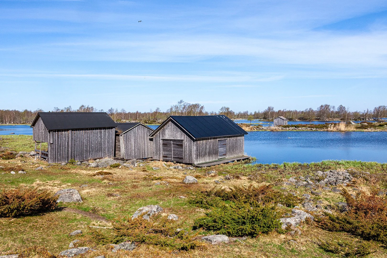 Lördags naturfotoutflykt till Svedjehamn i Björköby 15.8.2026