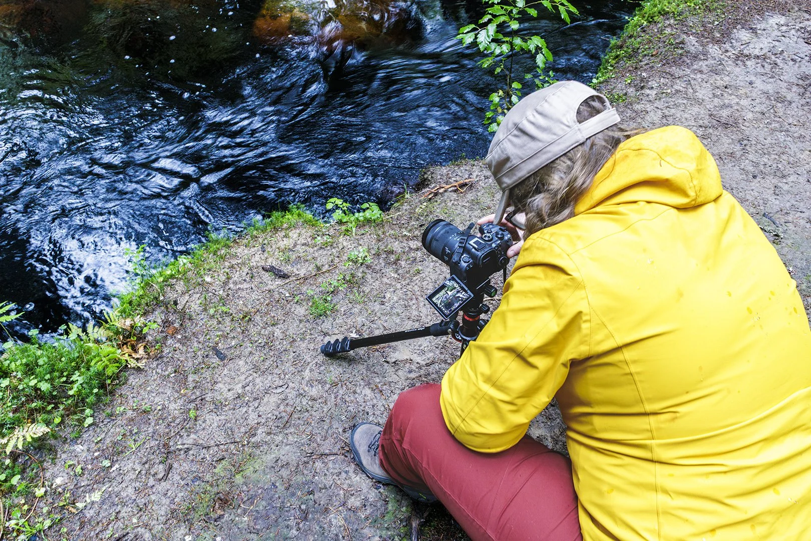 Online naturfotokurs hösten 2026