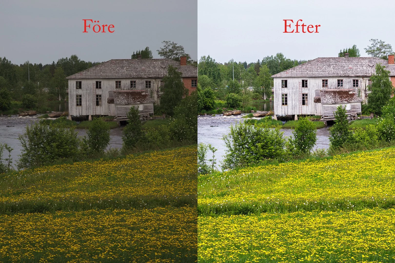 Online naturfoto redigerings grundkurs hösten 2026
