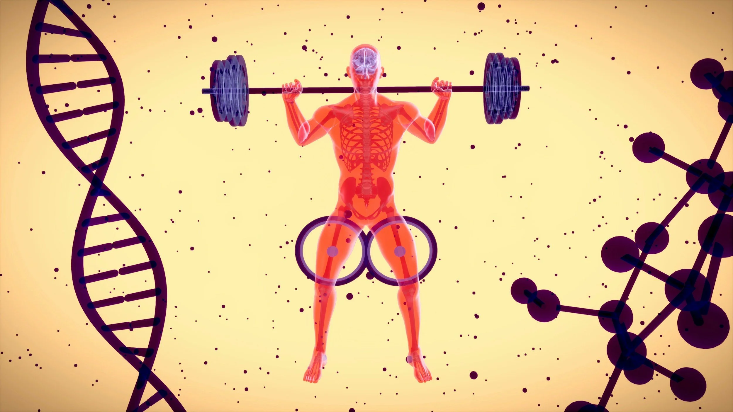 Physiotherapy Toronto