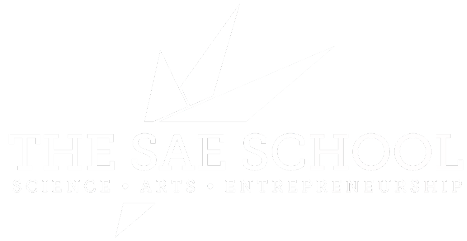The SAE School