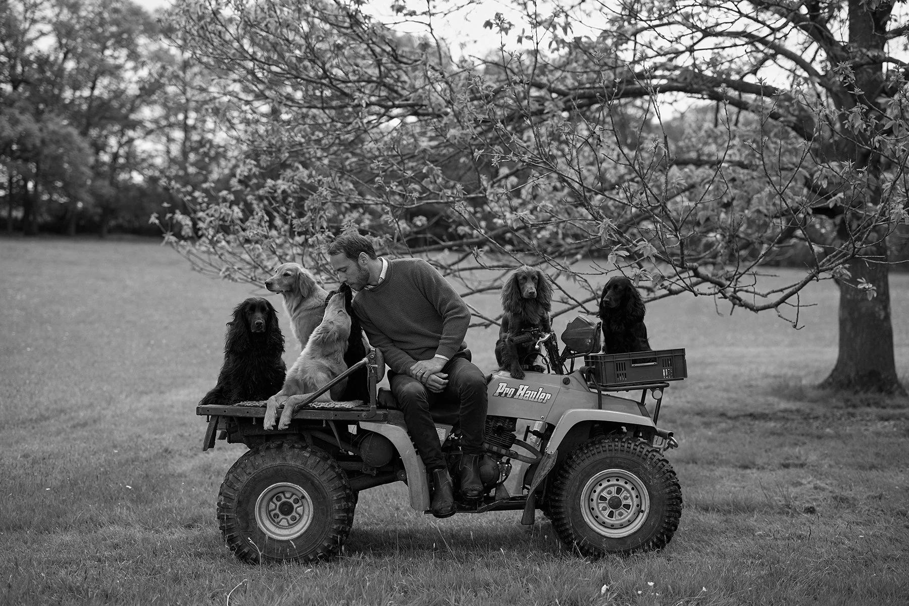 Lifestyle photography of James Middleton with all his dogs for James and Ella.