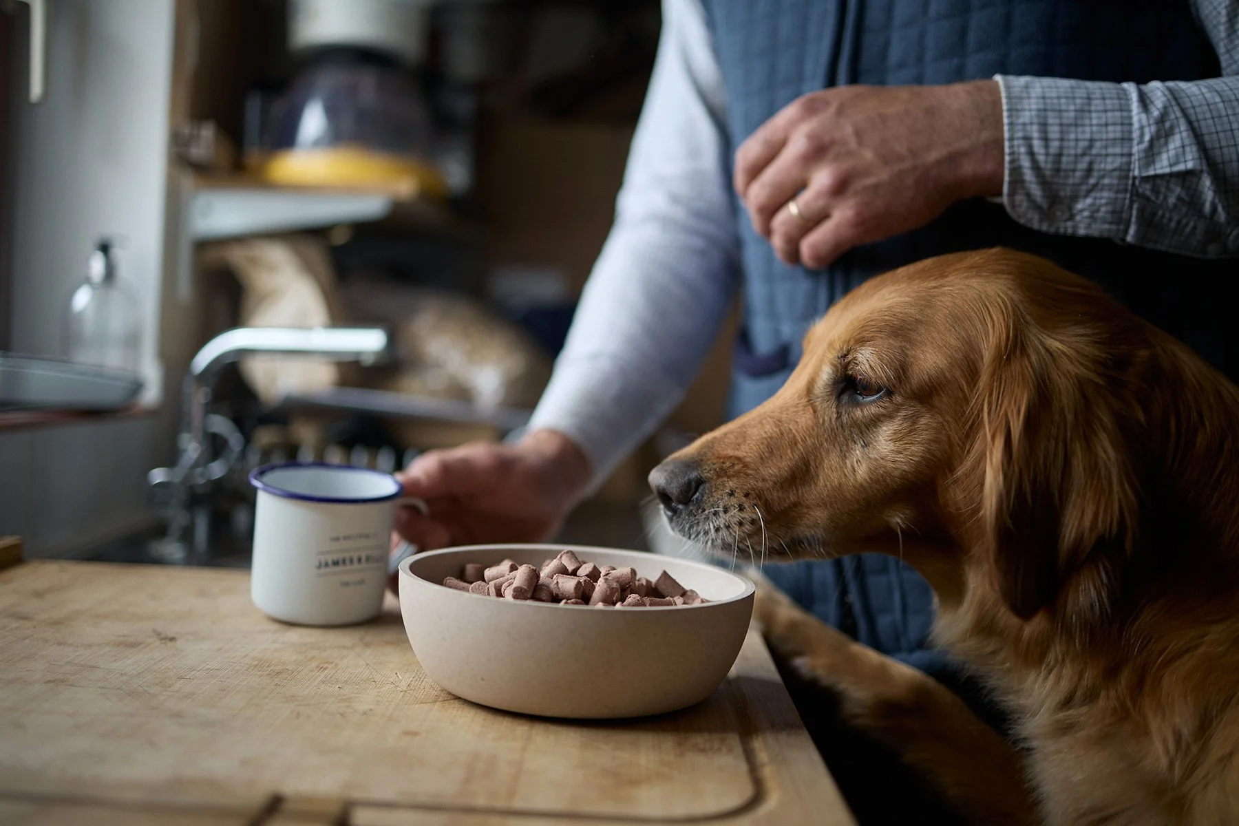 Pet food photography of a dog being served food in a bowl for James and Ella.