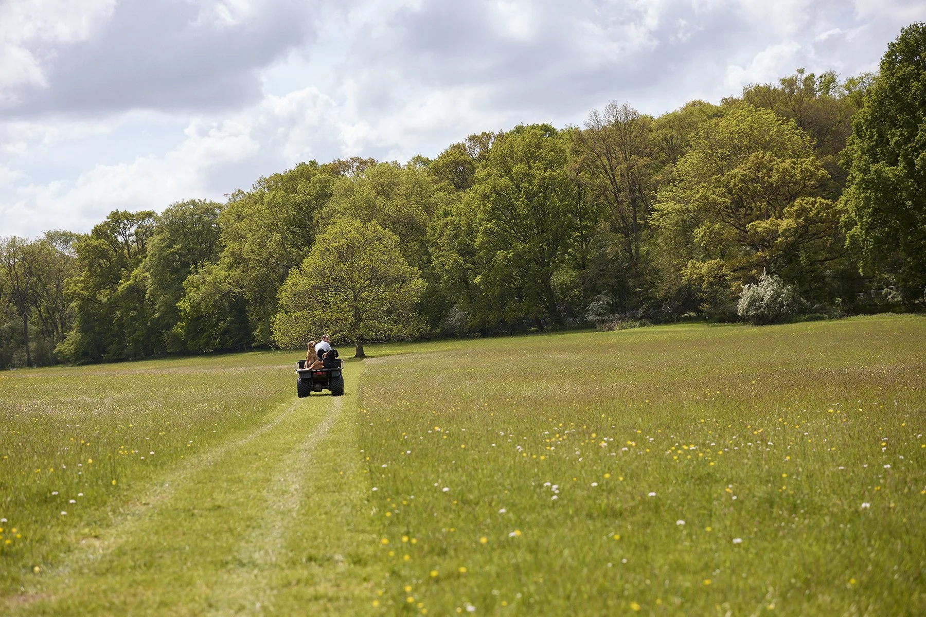 Person riding ATV across a grassy field with trees and cloudy sky in background.