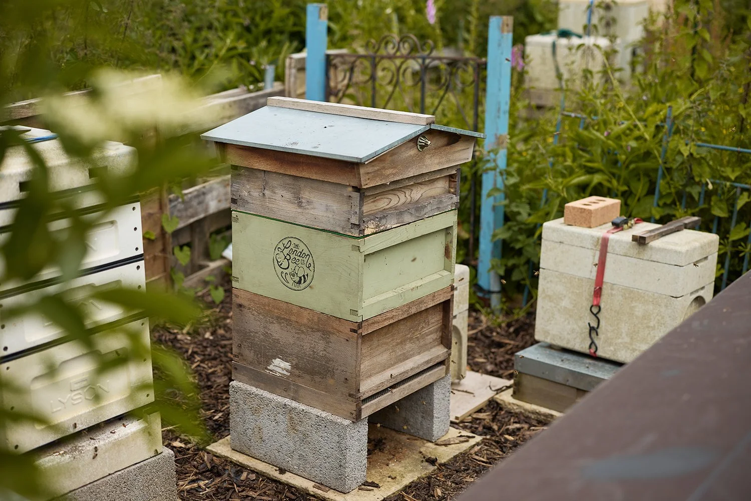 editorial-beekeeping-photography-surrey-hills-honey-maker-story.jpg
