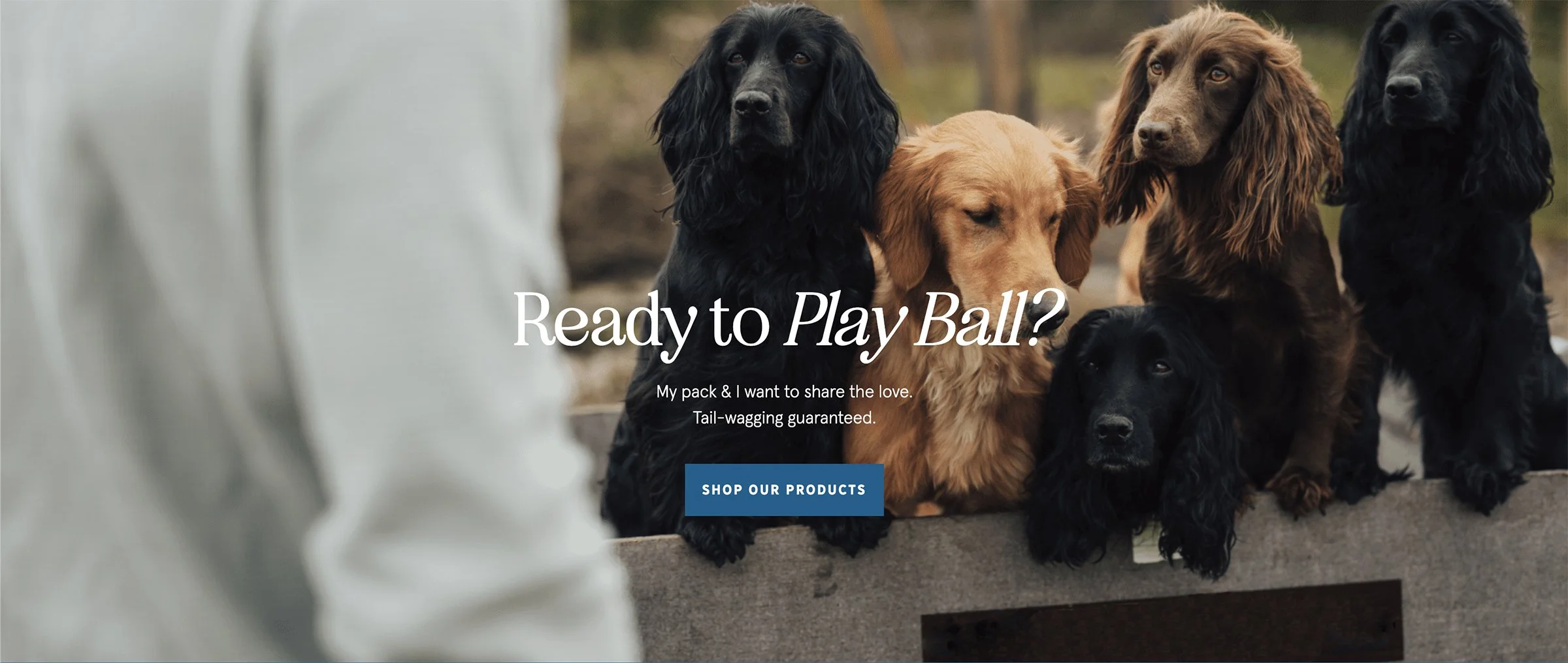 Web banner with lifestyle photography for James Middleton's James & Ella brand