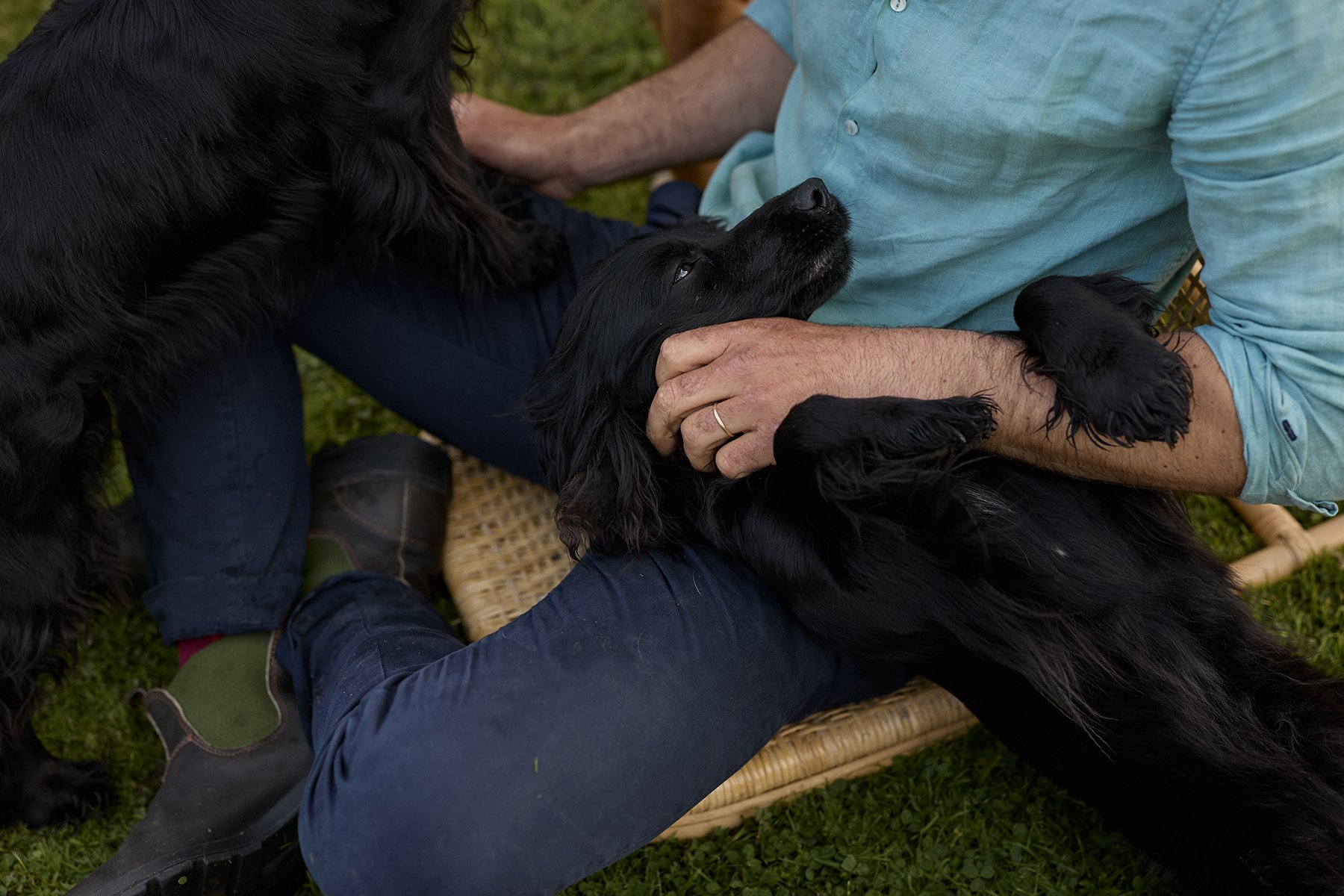 Lifestyle photography of James Middleton playing with a dog, close-up of the dog for James and Ella.