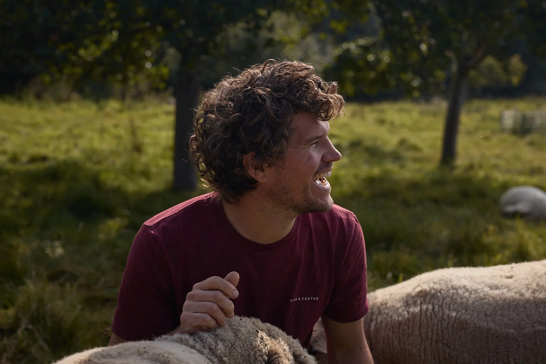 A man with curly hair laughing outdoors in a grassy area with trees, surrounded by sheep.