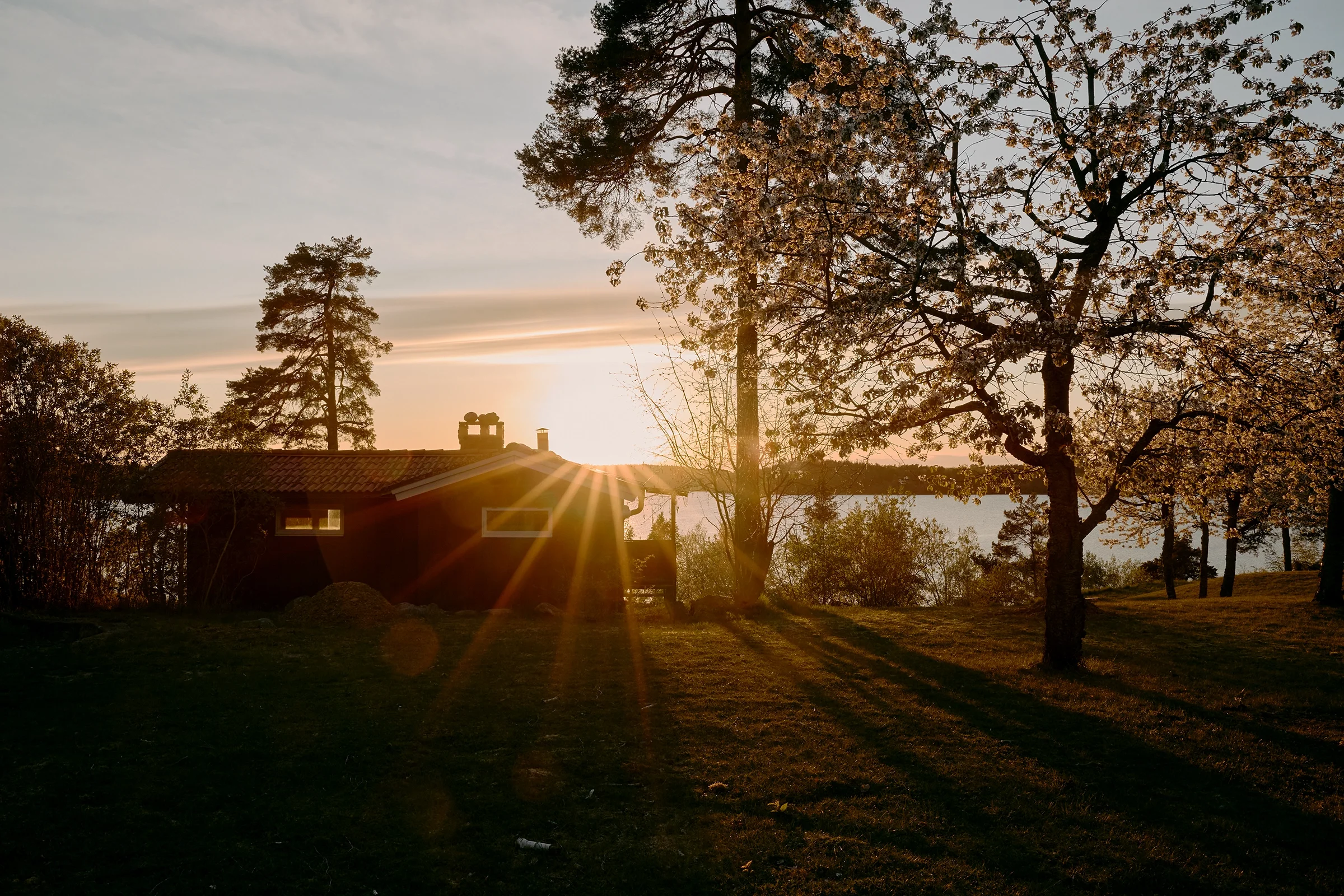 travel-photography-sweden.webp