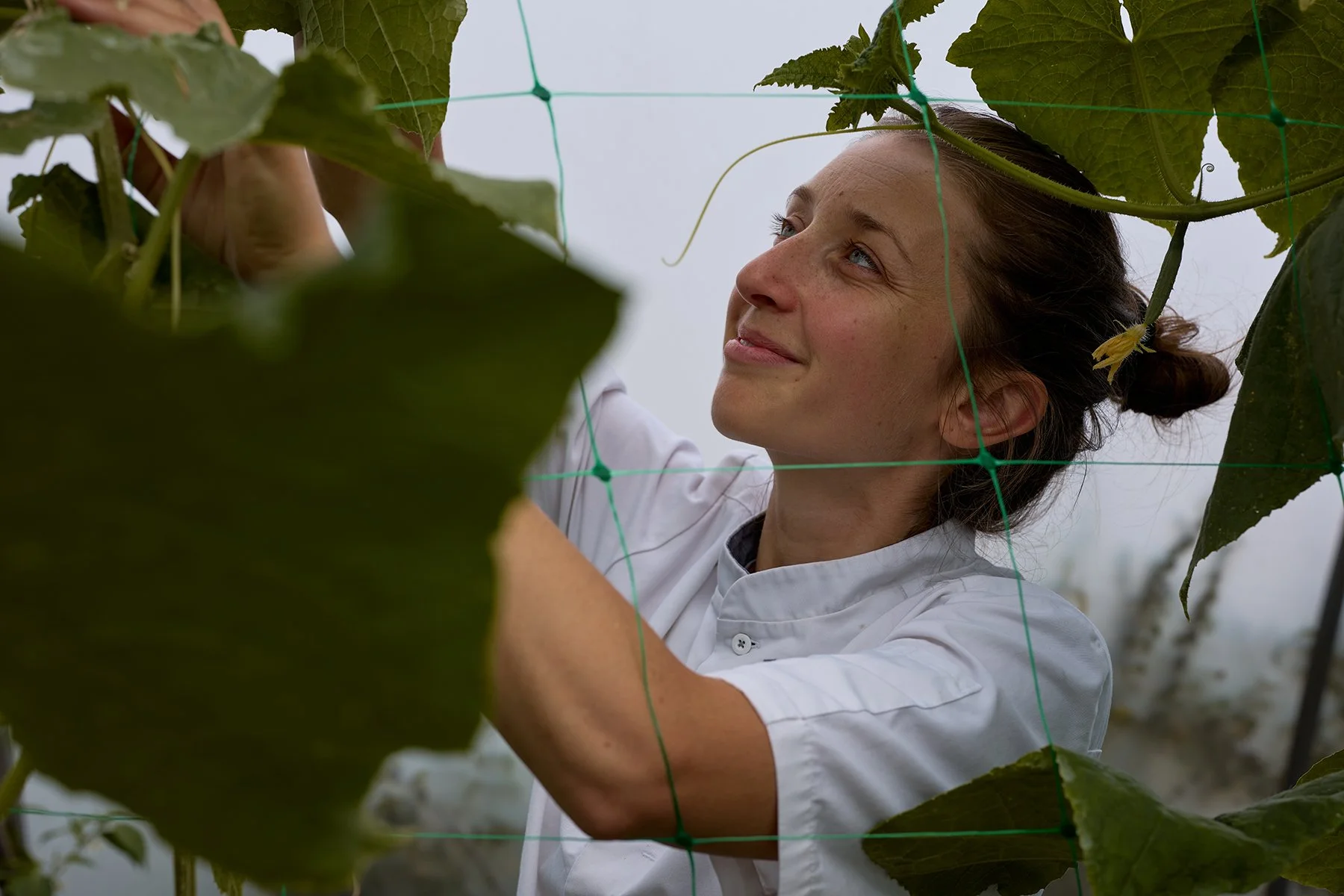 A woman in a white shirt tending to plants in a greenhouse.