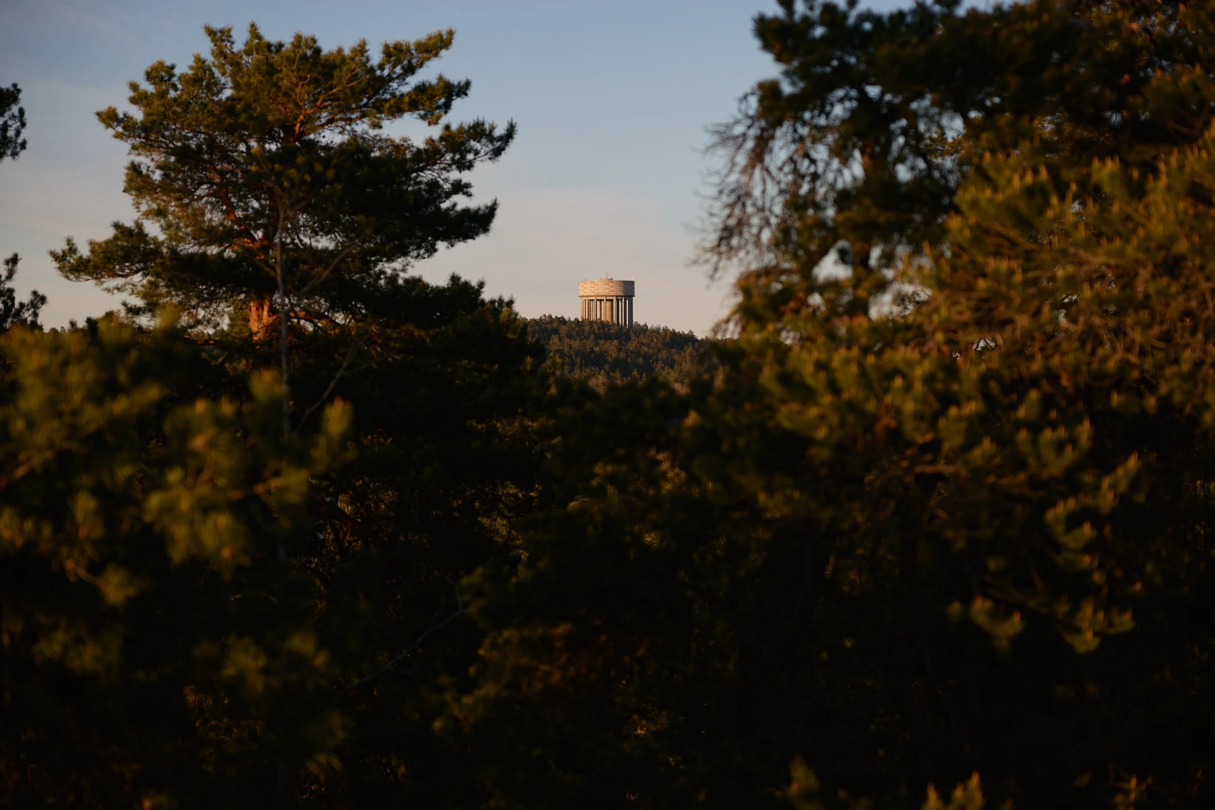 stockholm-archipelago-landscape-photography.webp