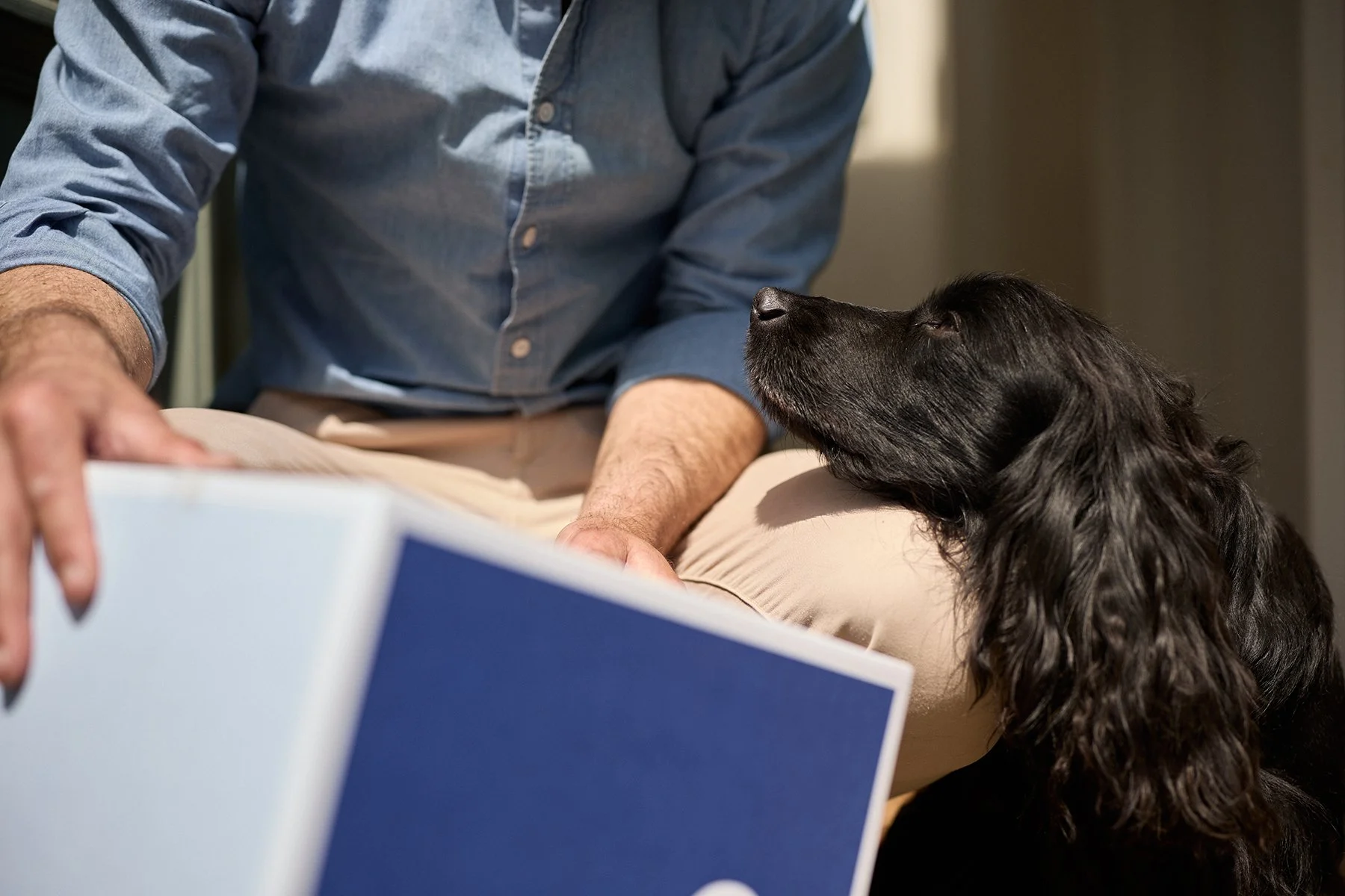 Lifestyle photography portrait of James Middleton with dog for James and Ella.
