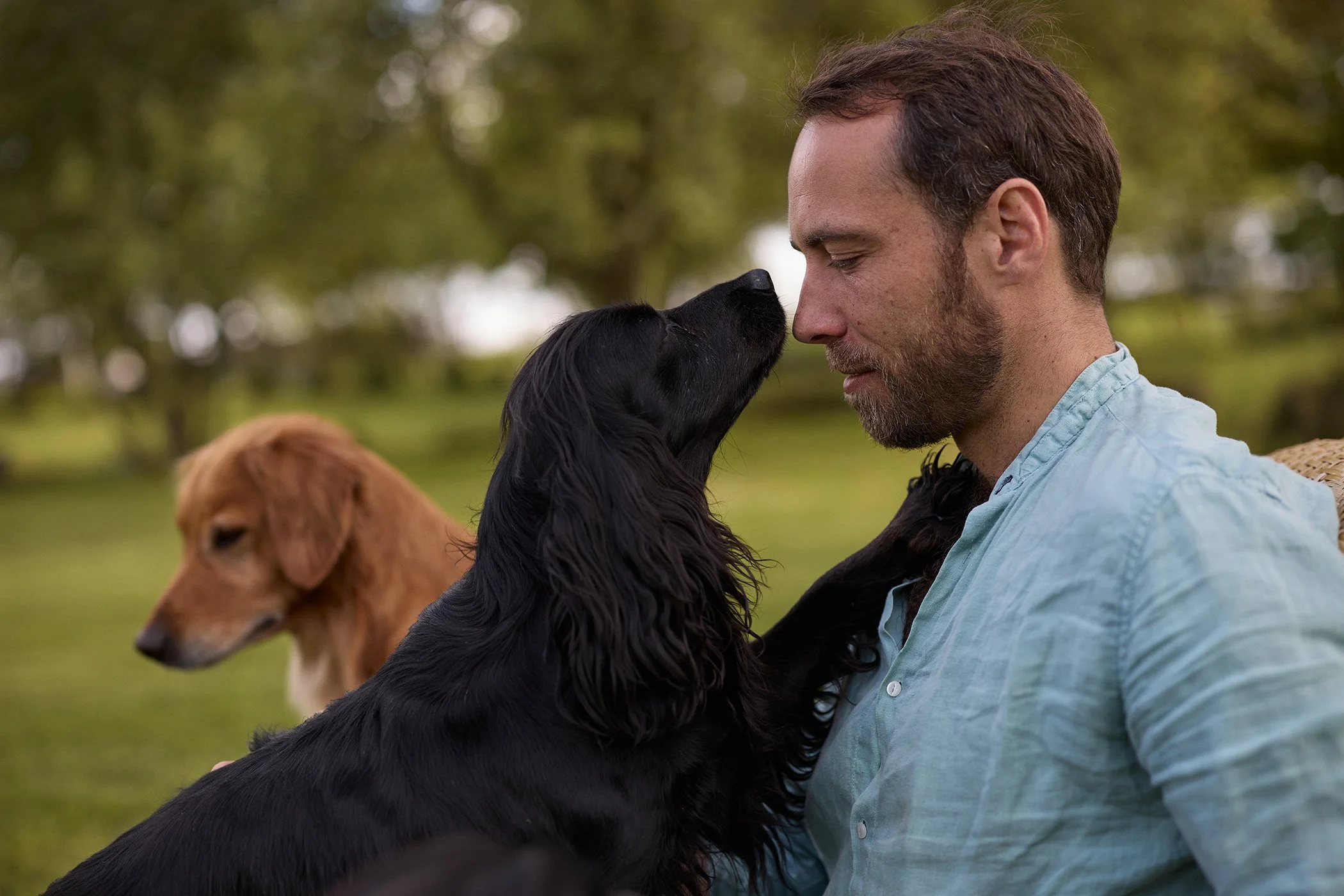 Lifestyle photography of James Middleton with his dogs for James & Ella.