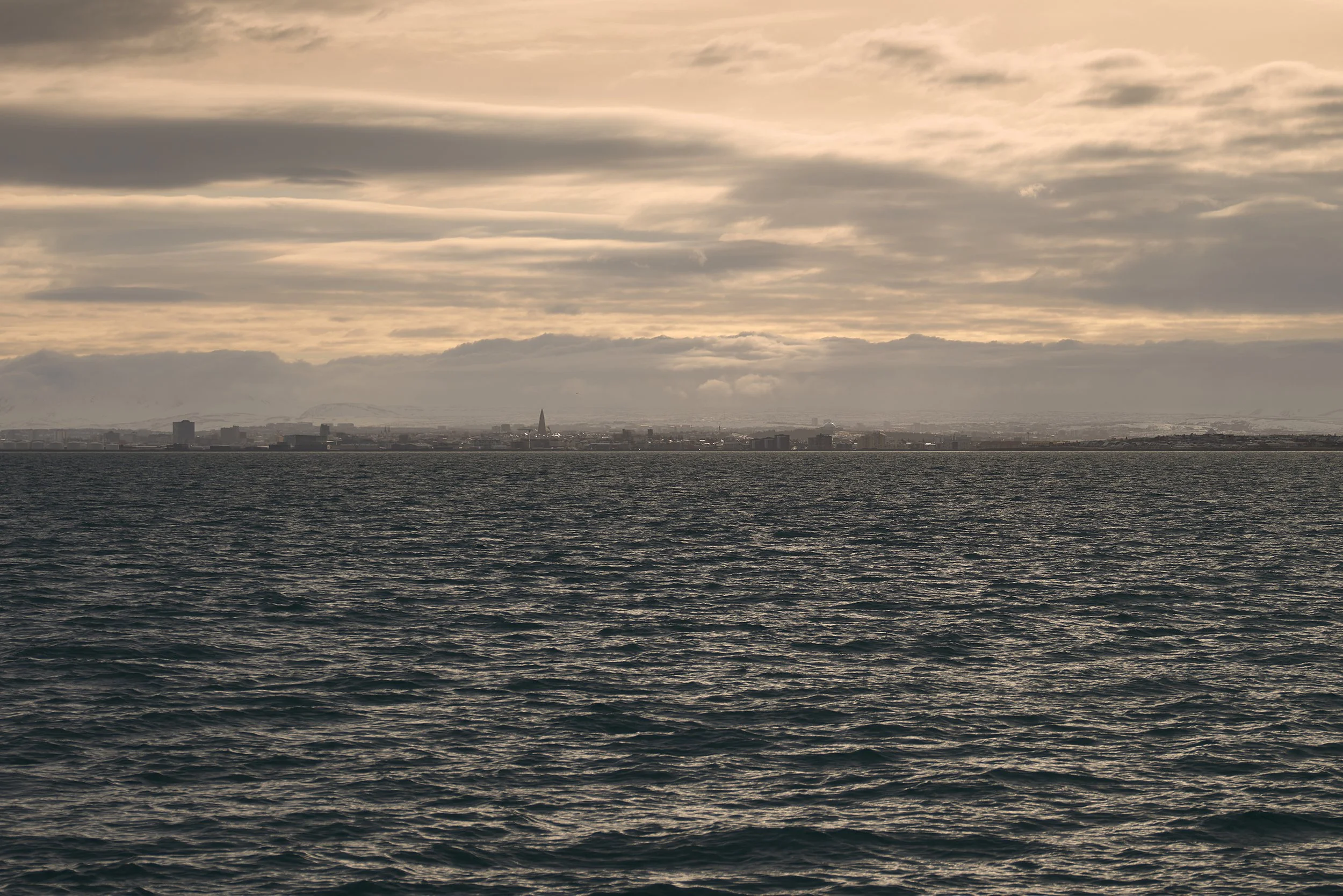 A body of water with a city skyline and mountains in the distance under a cloudy sky.