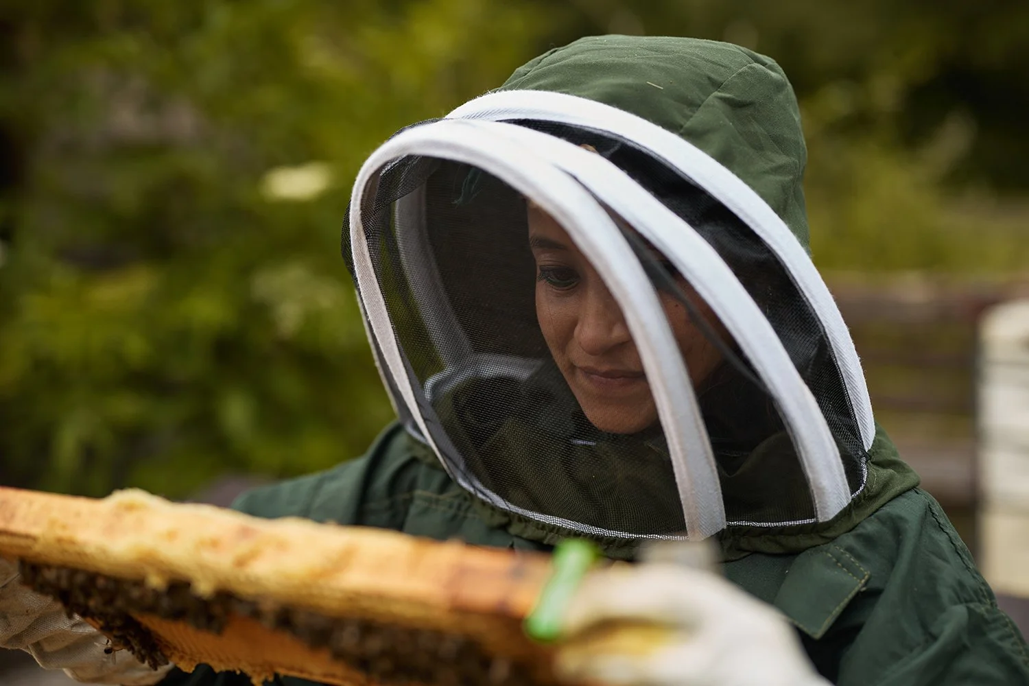 small-batch-honey-harvest-photography-surrey-artisan-beekeeping.jpg