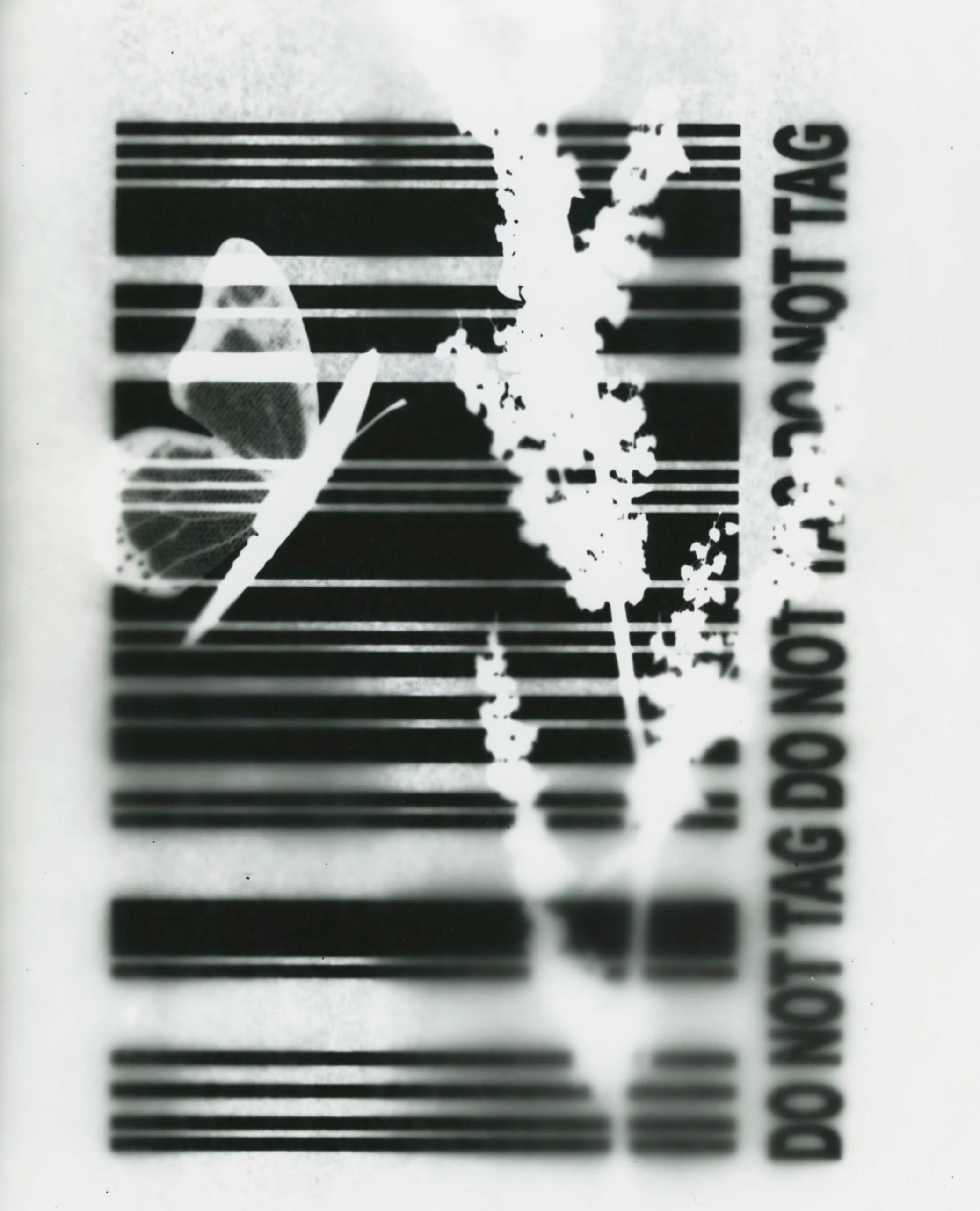 Barcode+as+a+trap.jpg